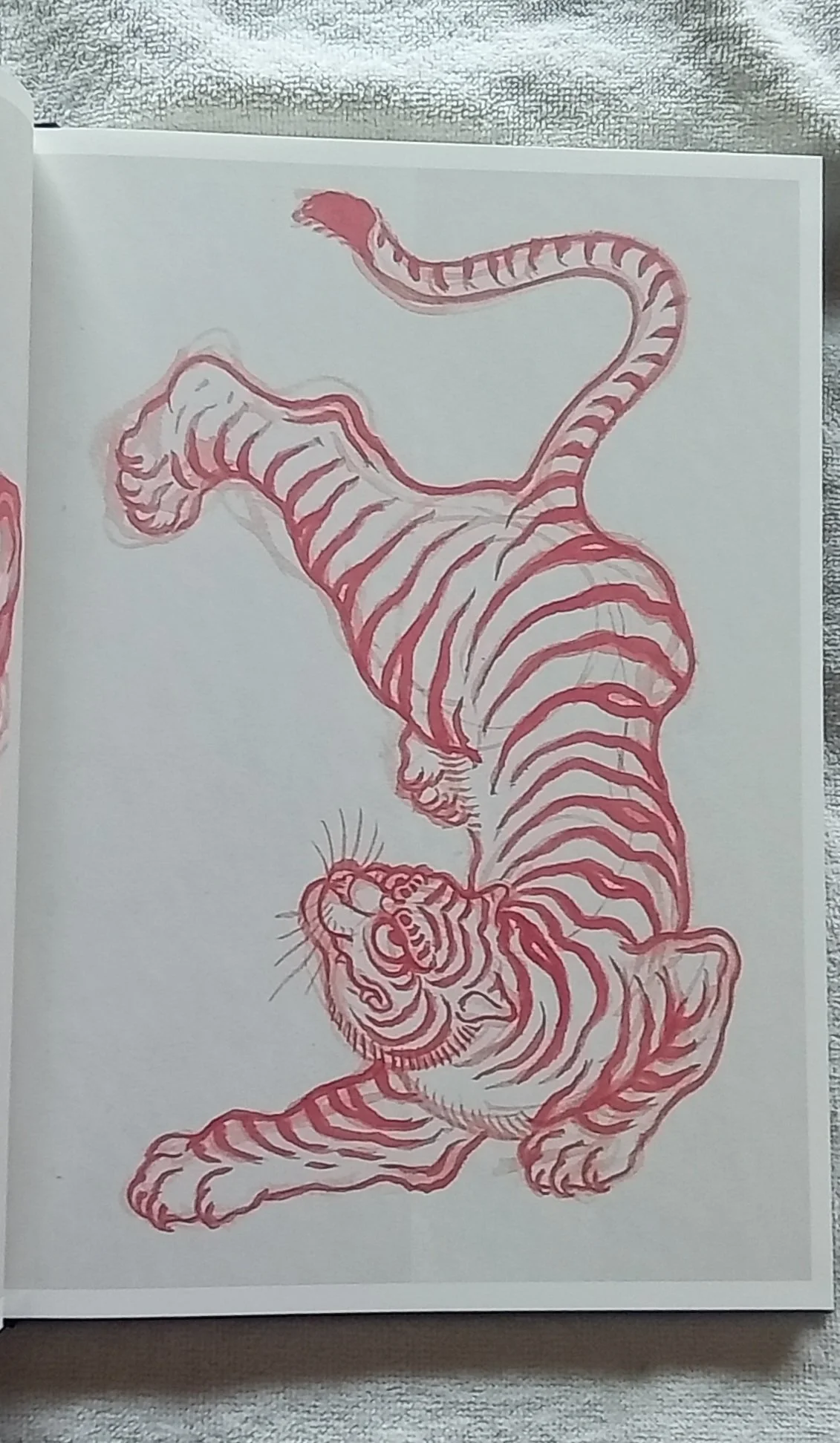 1000121061.jpg