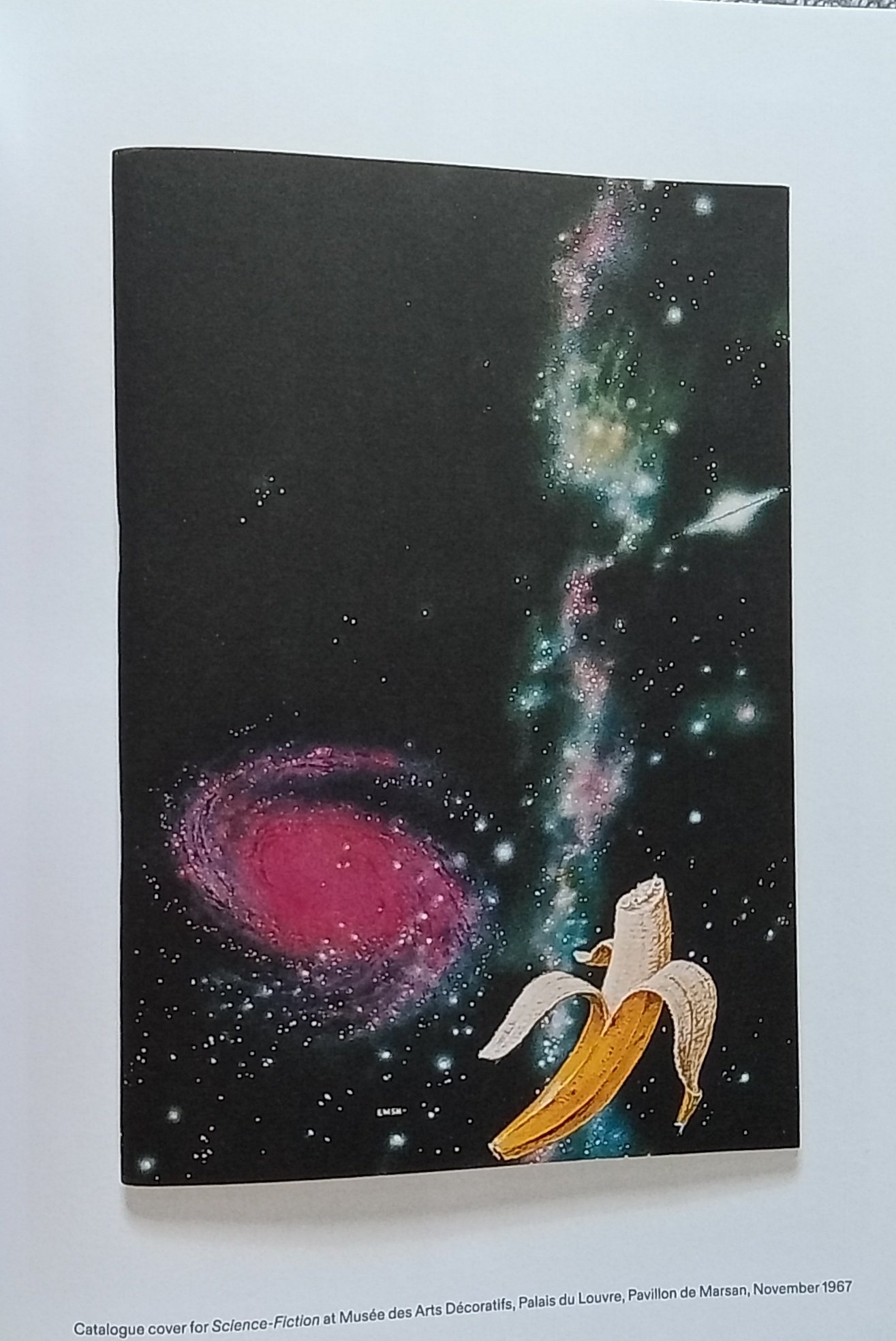 1000091341.jpg
