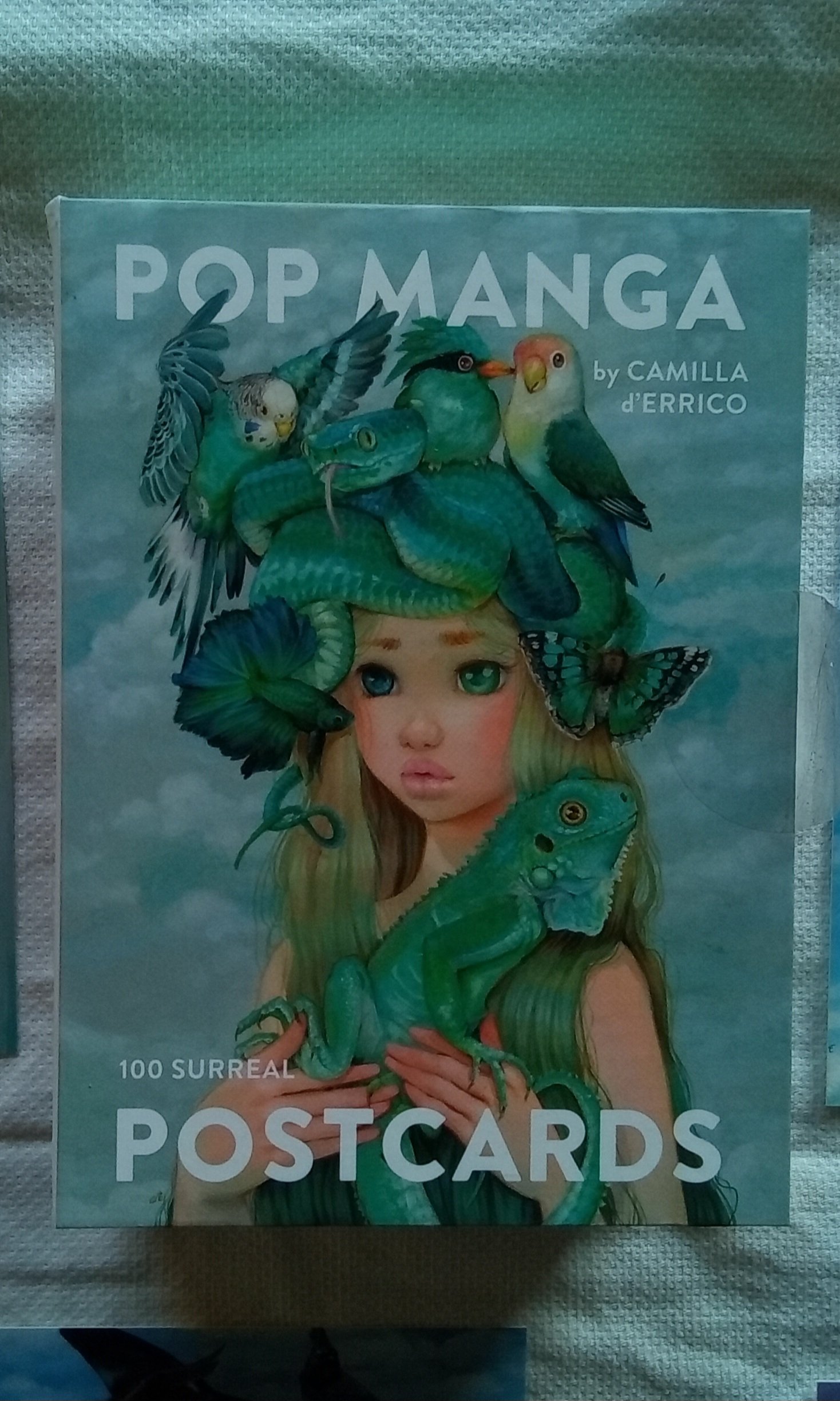 Pop Manga Postcards: 100 Surreal Postcards.Camilla d’Errico