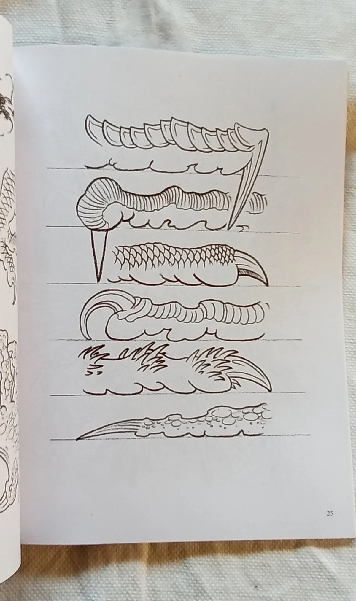 1000101550.jpg