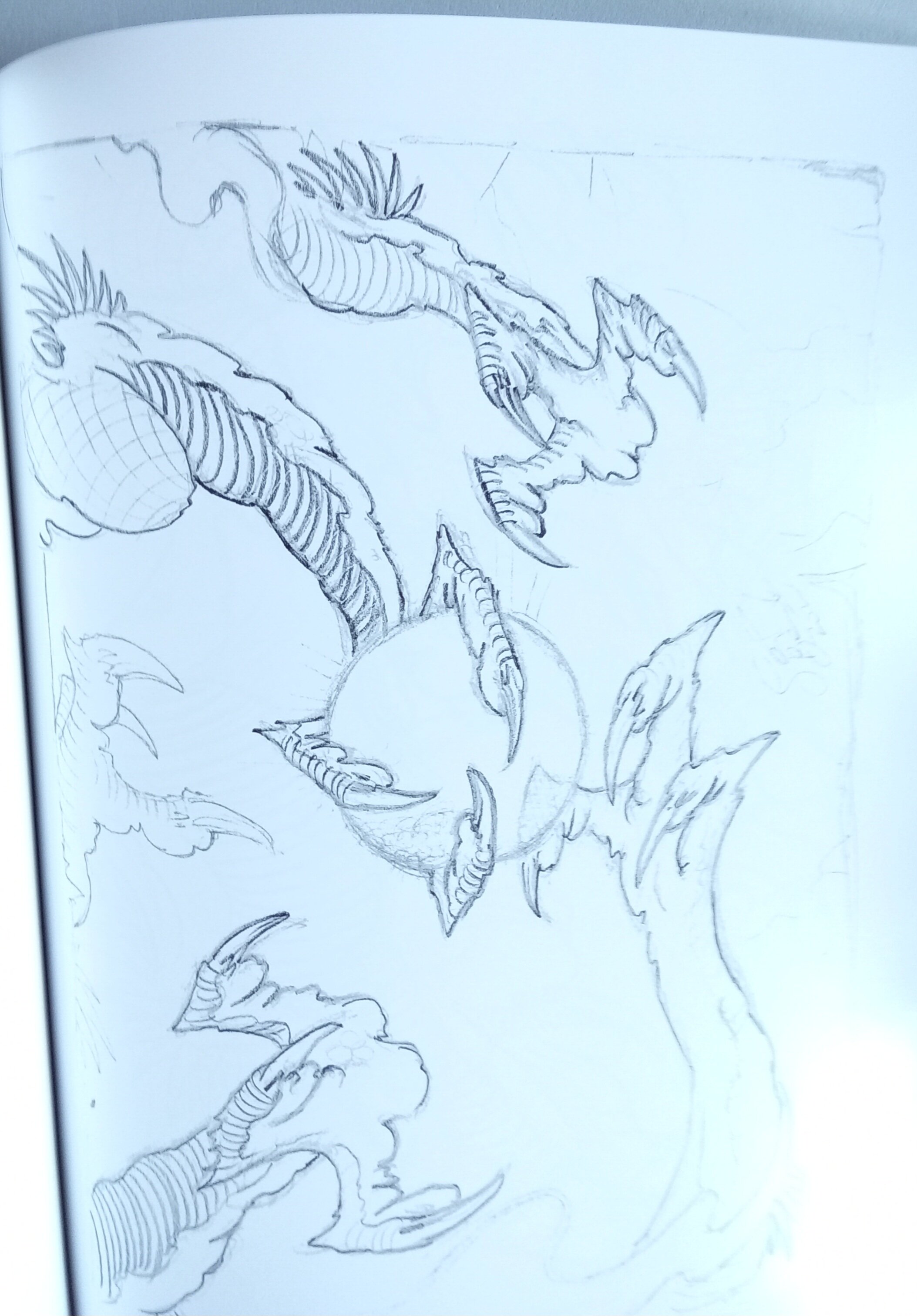 20230905_134312.jpg