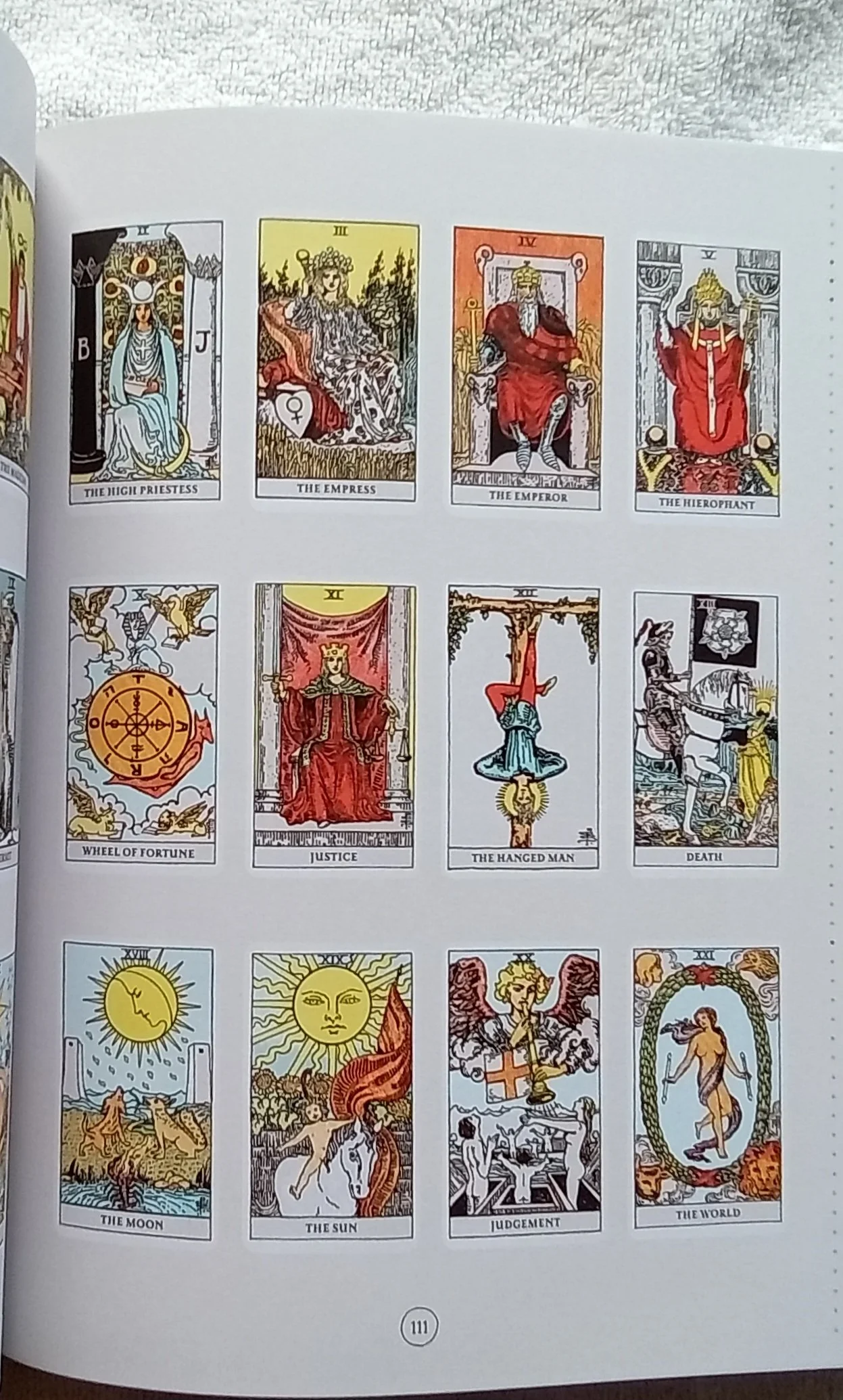 1000119880.jpg