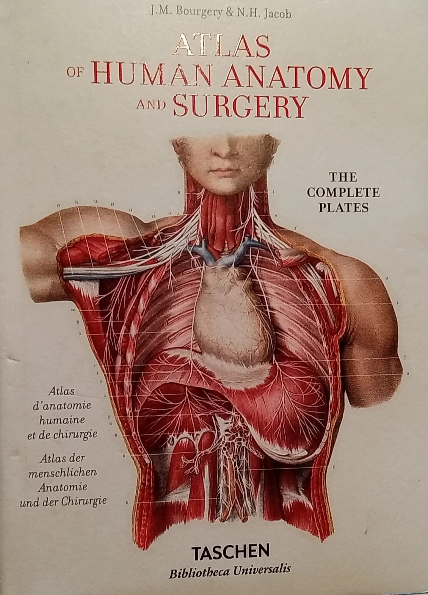 Bourgery. Atlas of Human Anatomy and Surgery... — Joe the Tattoo Guy