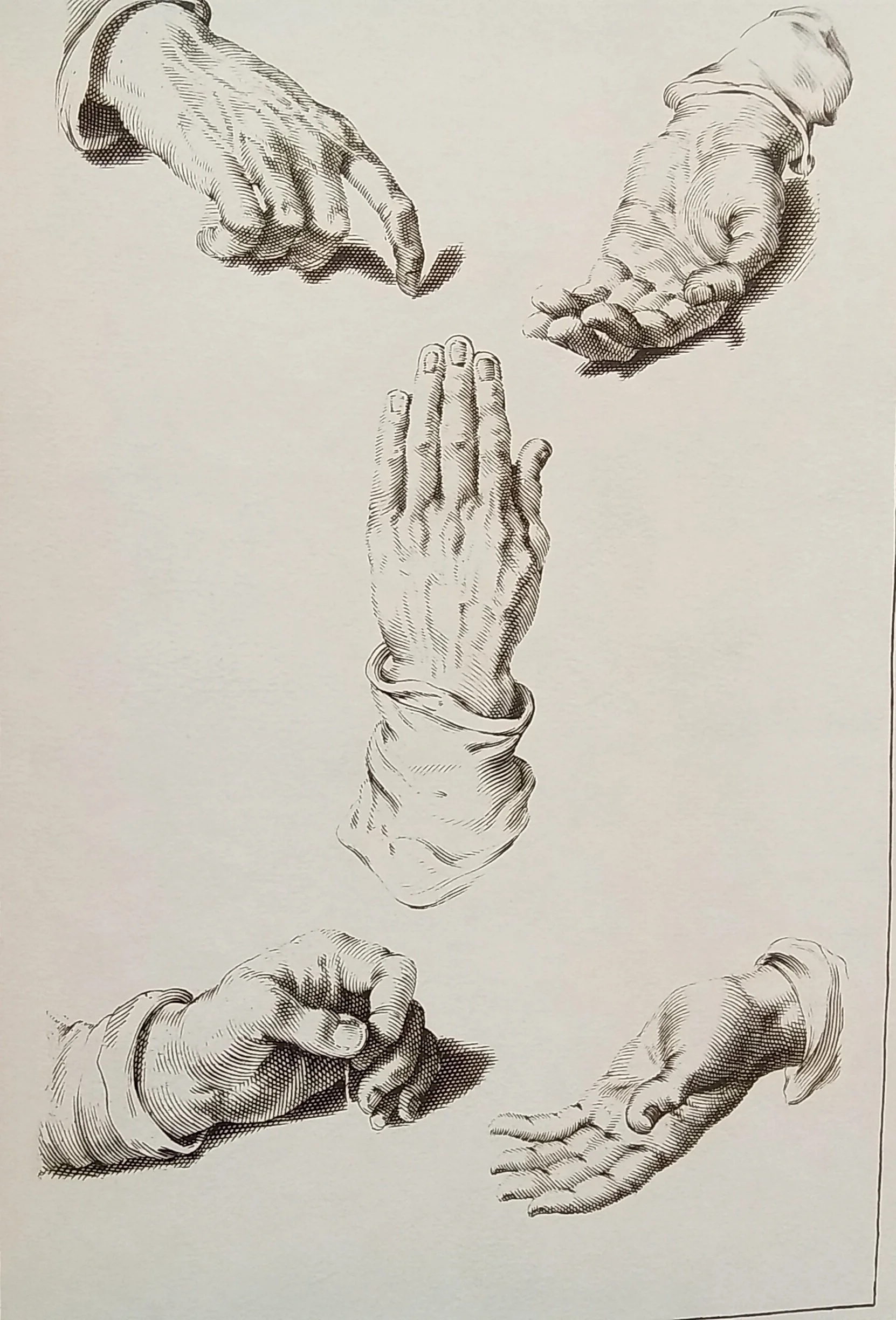20240312_165402.jpg