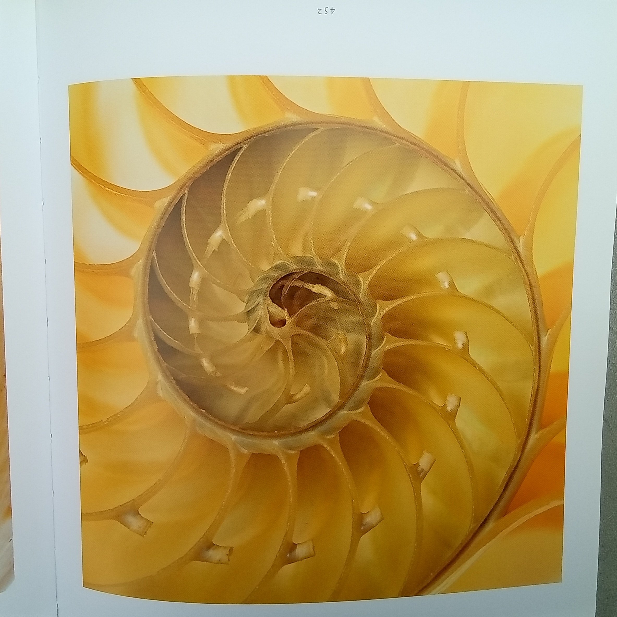 1000055031.jpg