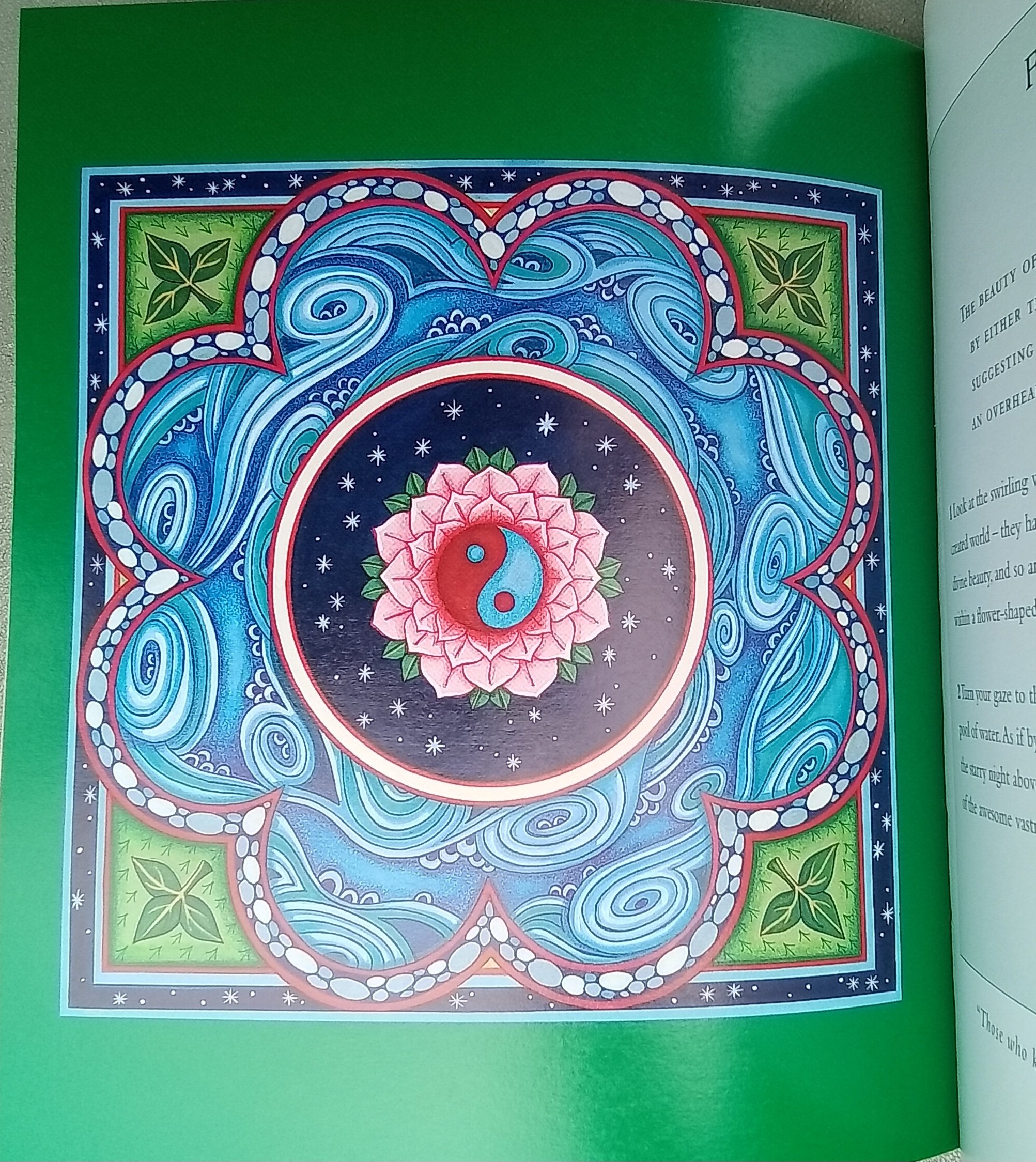 1000055016.jpg