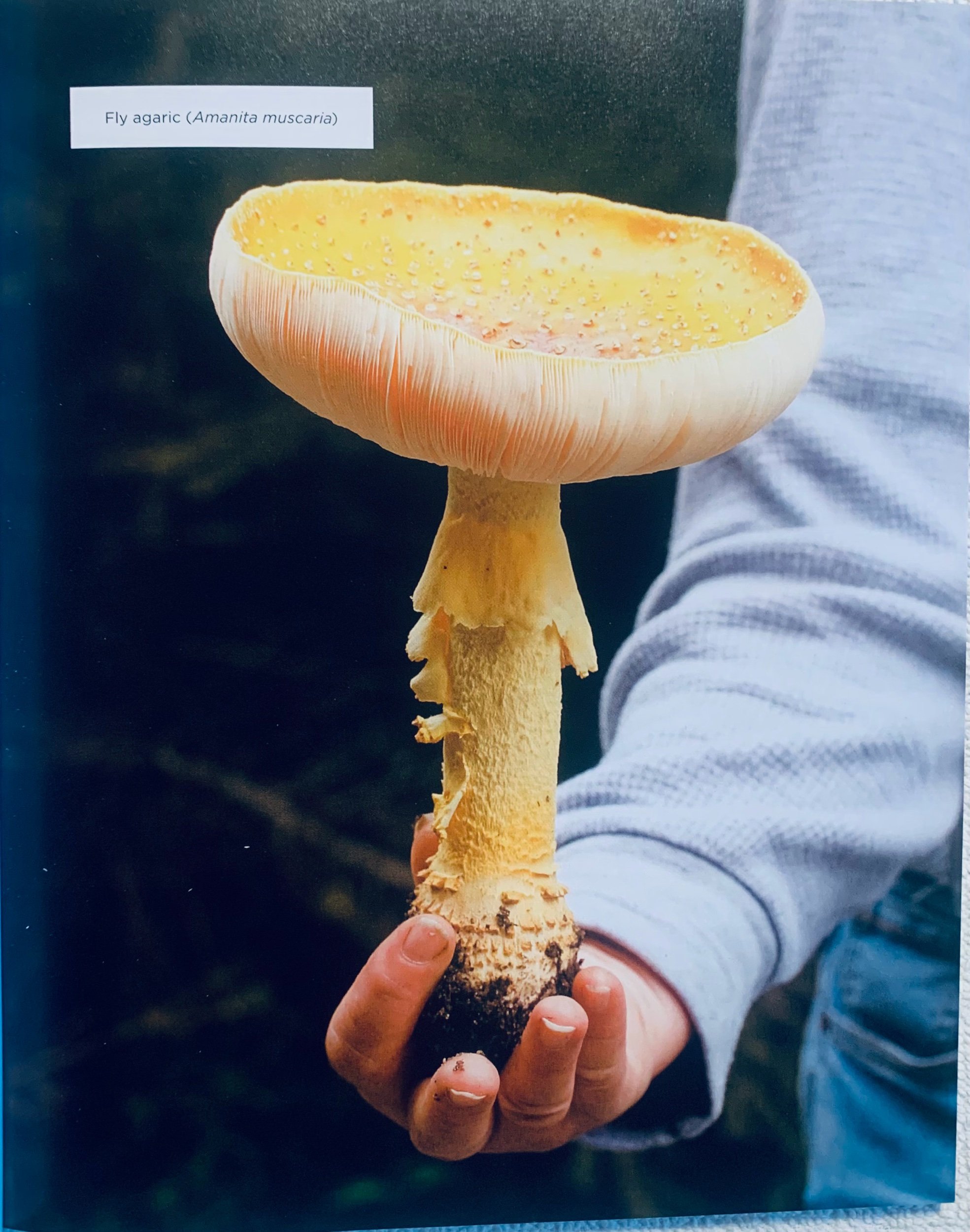 3900CF2B-7C06-43F8-9D8F-F457761B4F9B.jpeg