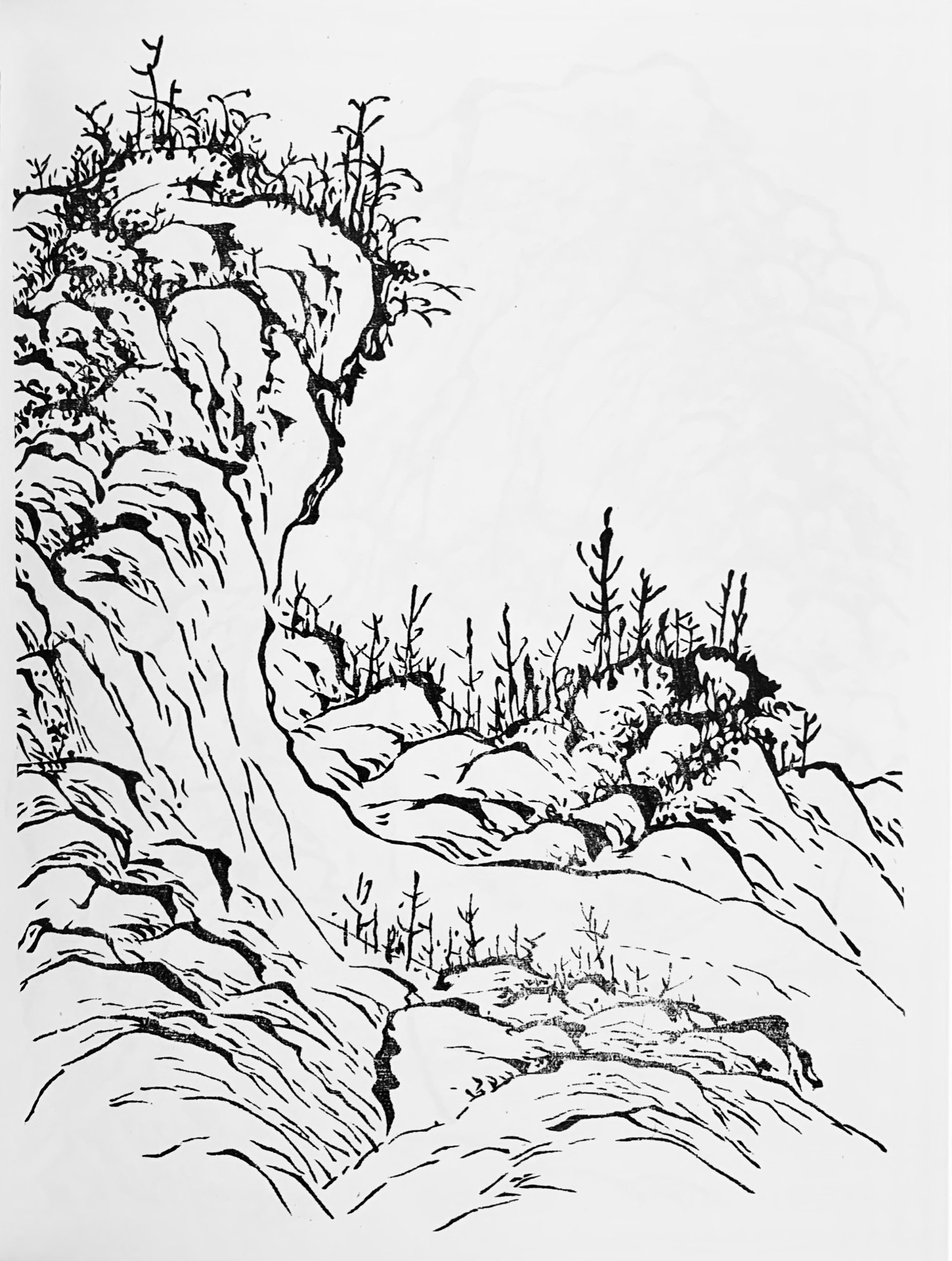 C7A4E08A-8950-4754-8496-83D71EA05BA0.jpeg