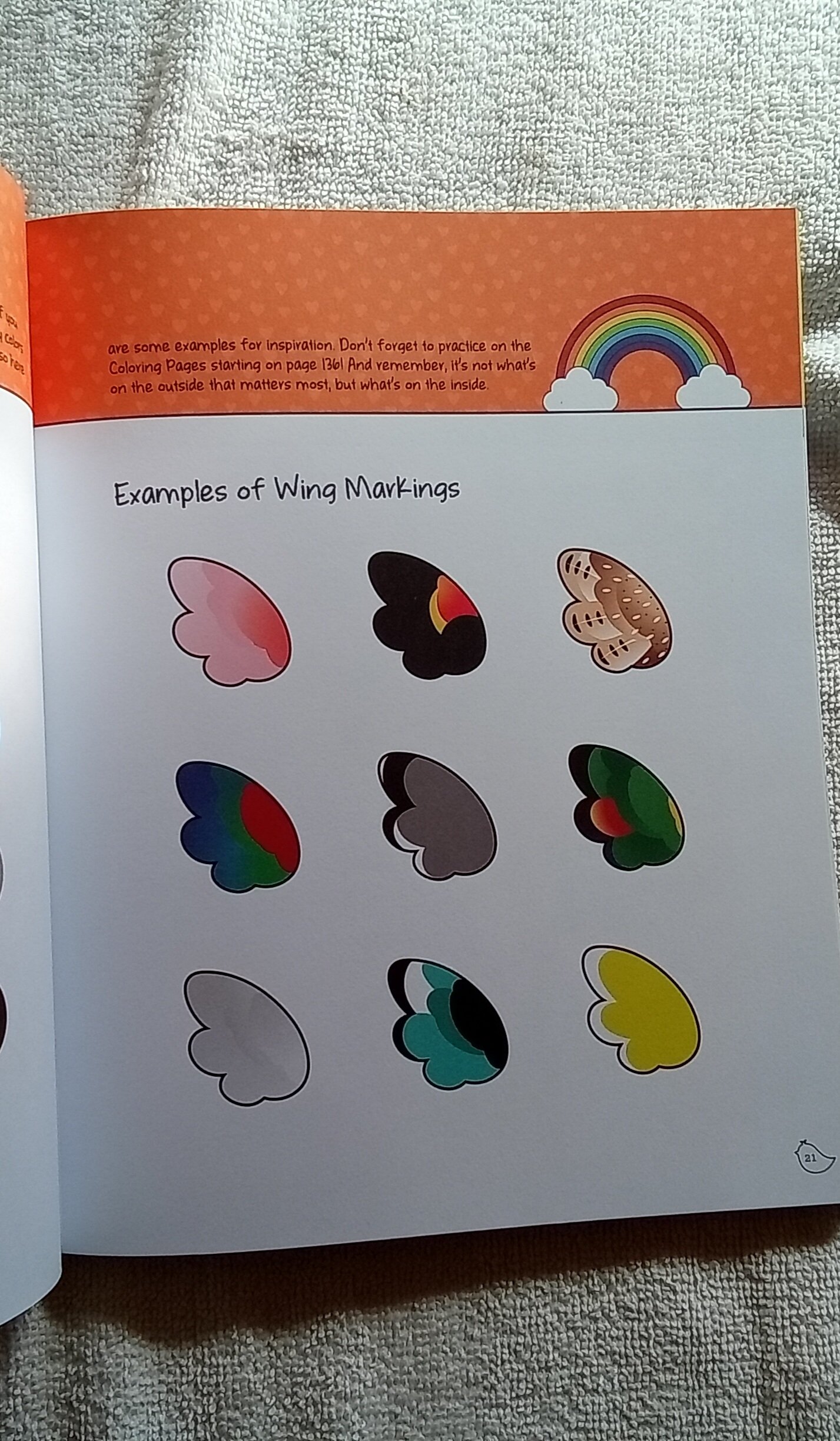1000079134.jpg