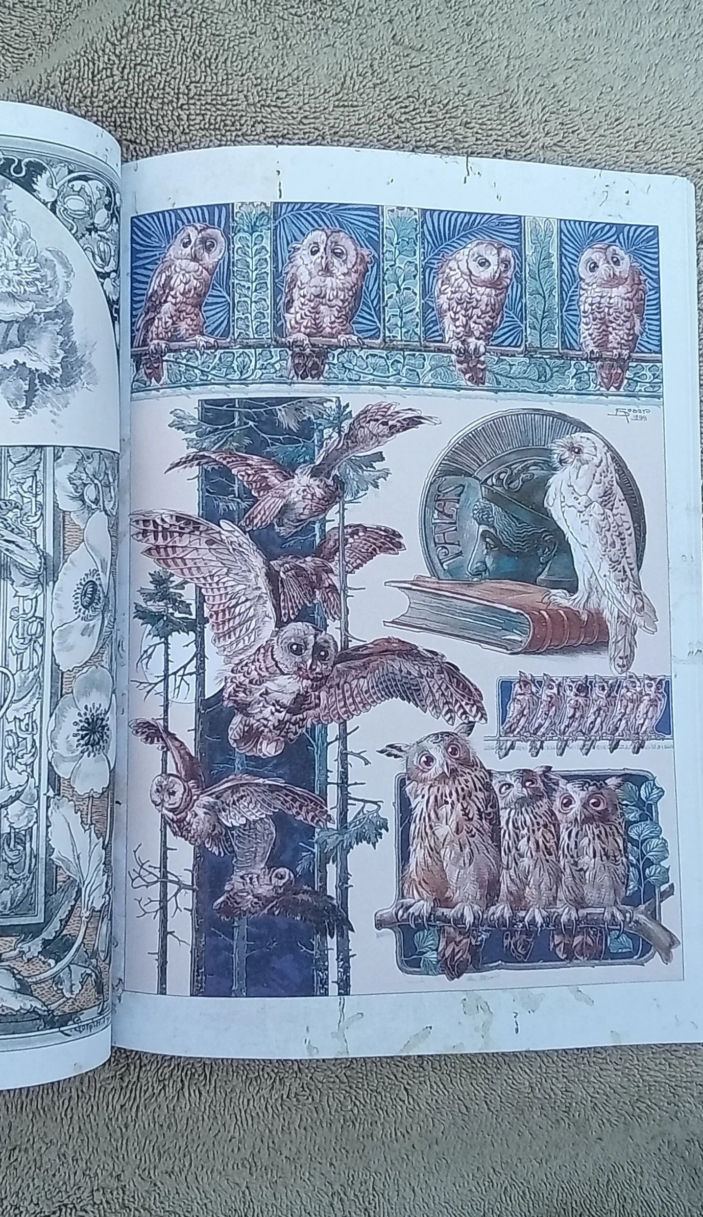 1000096075.jpg