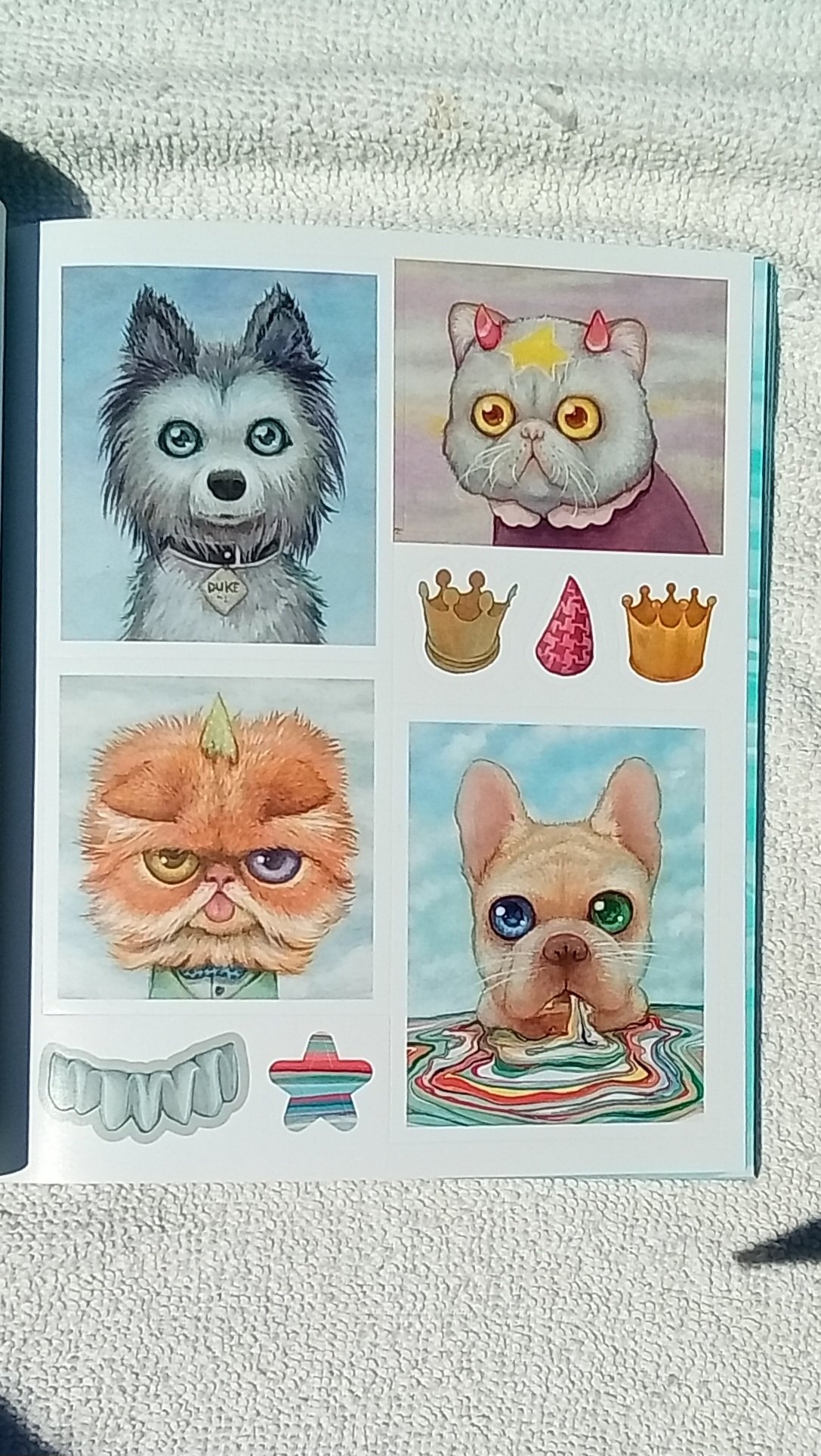 1000085683.jpg