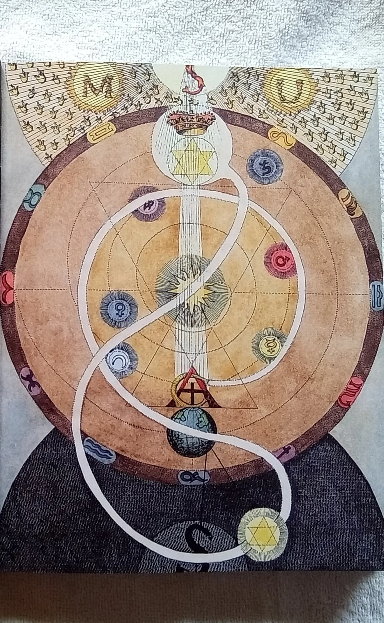 1000119874.jpg