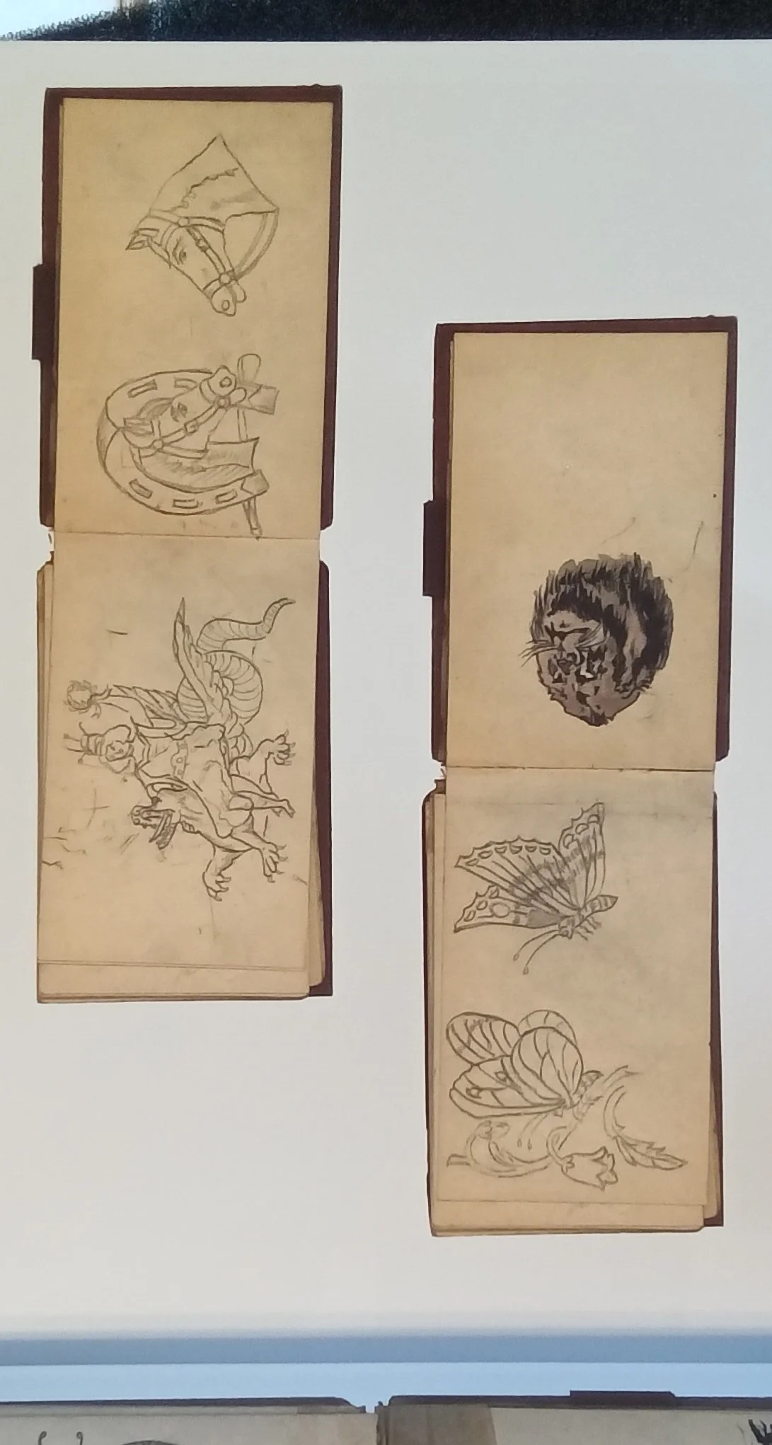 1000122858.jpg