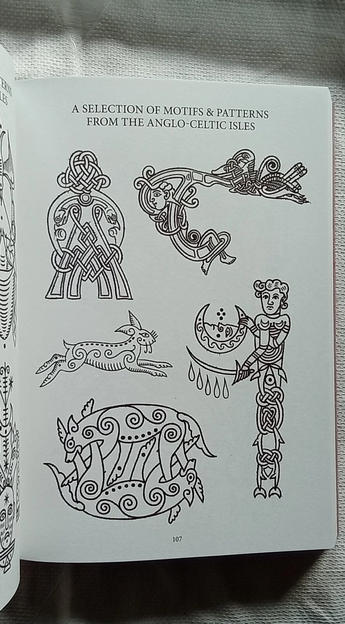 1000104571.jpg
