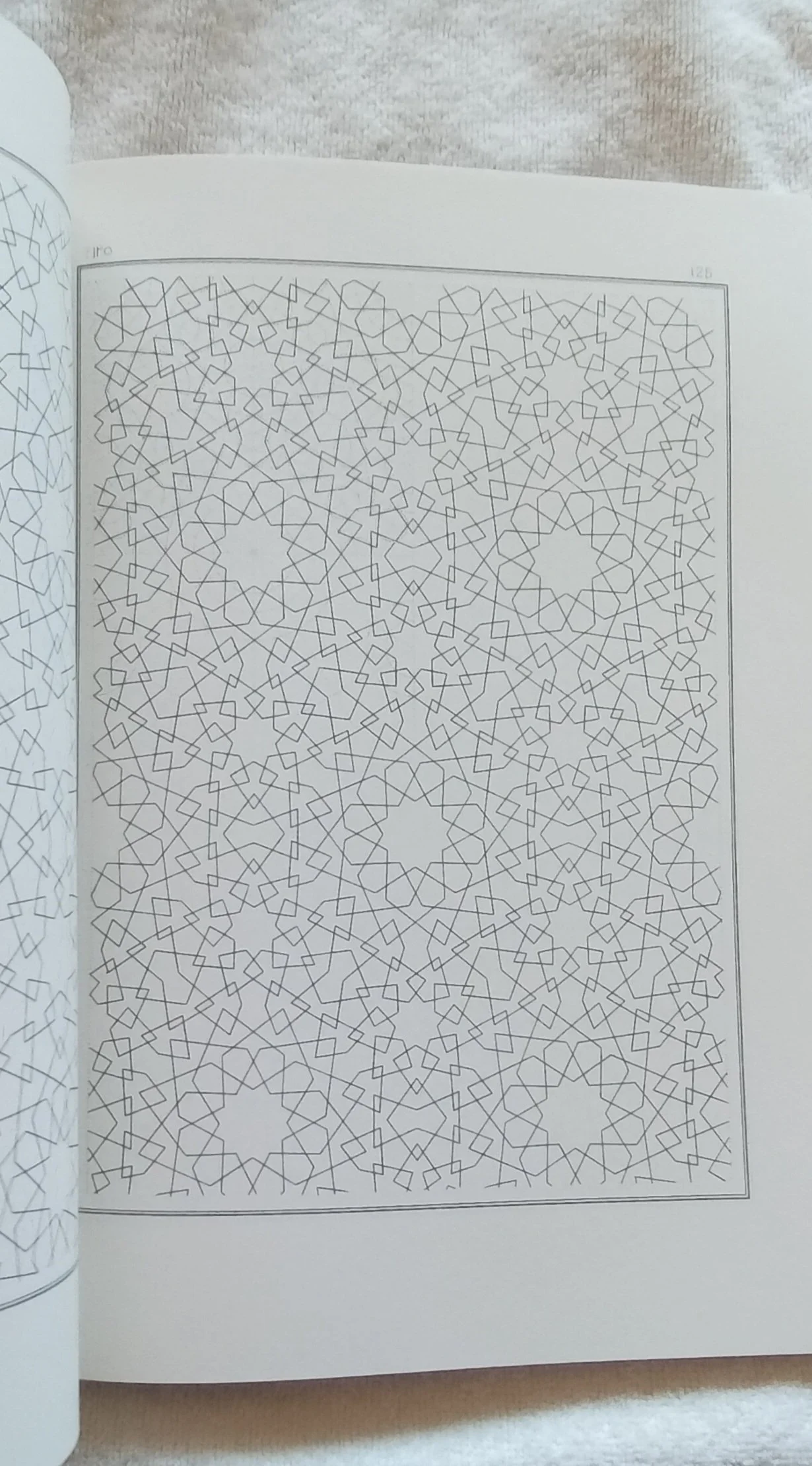 1000124705.jpg