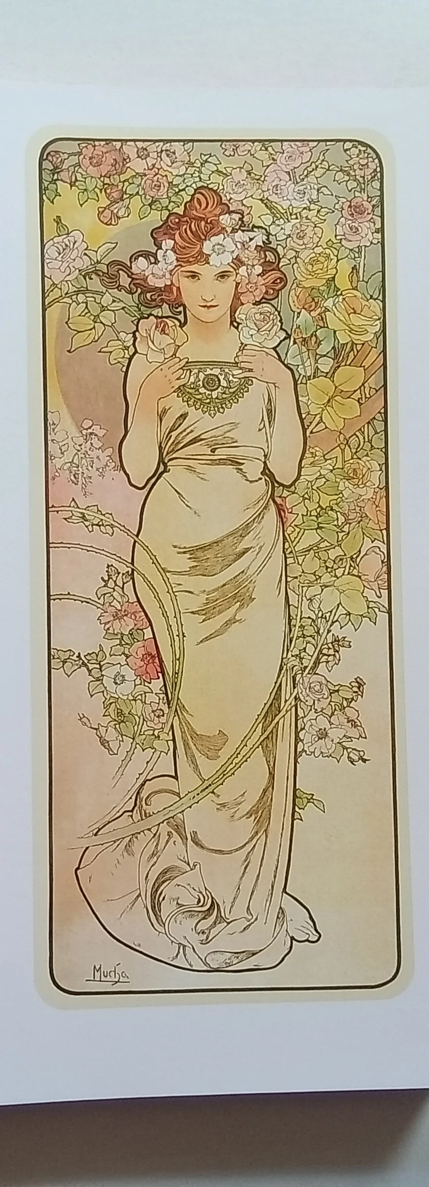 1000127827.jpg