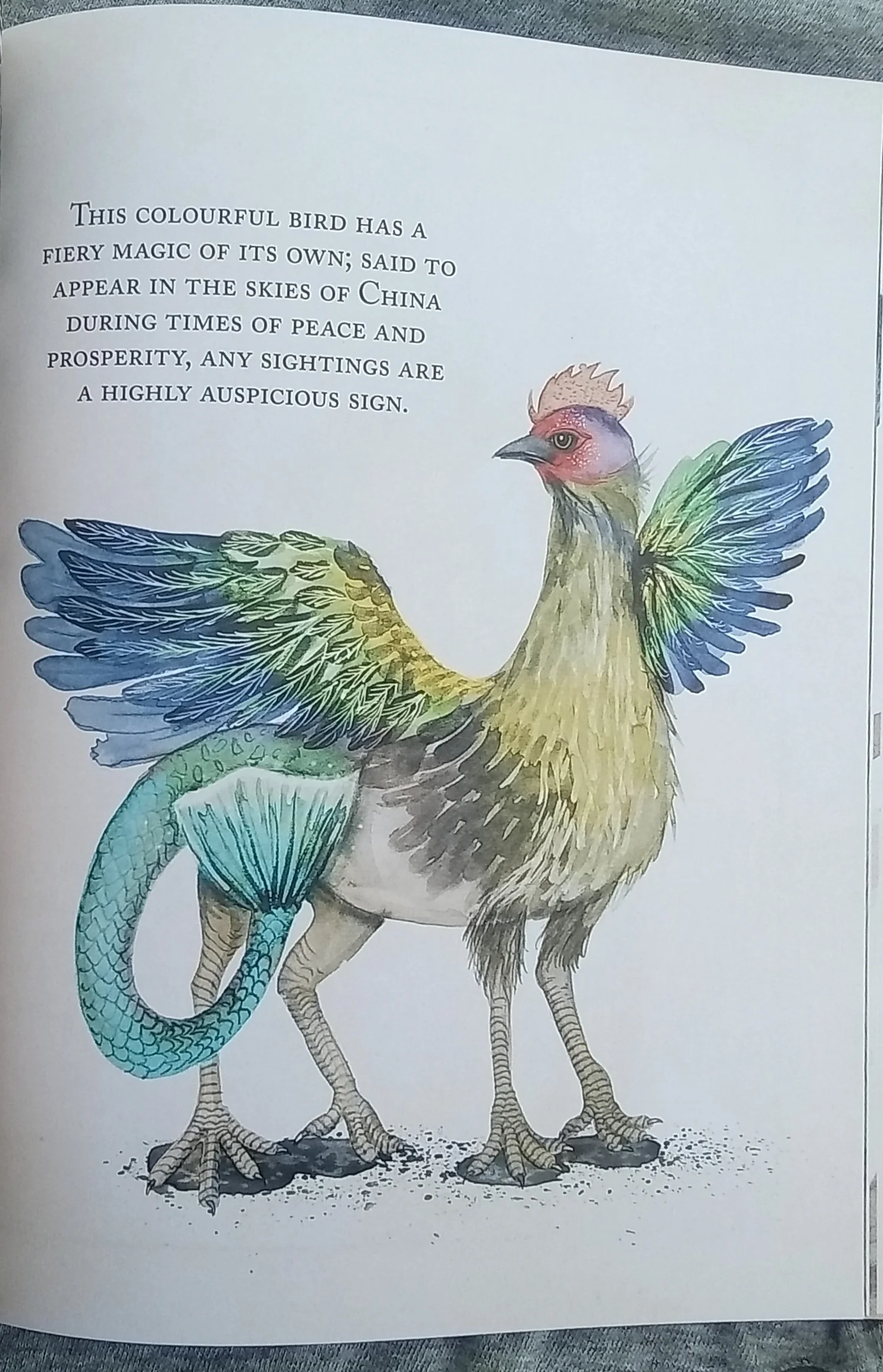 1000127447.jpg