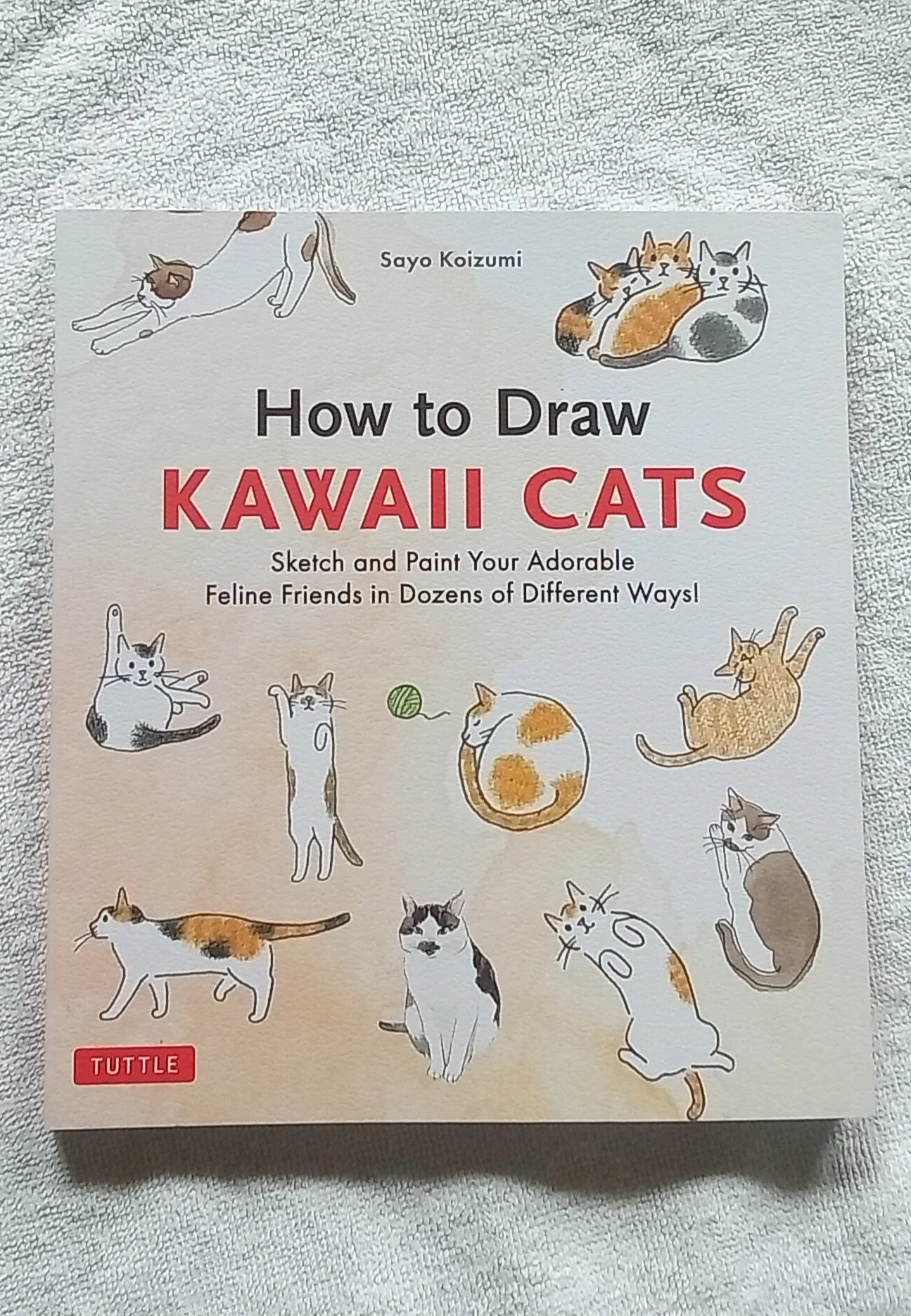 HOW TO DRAW KAWAII CATS, Sayo Koizumi