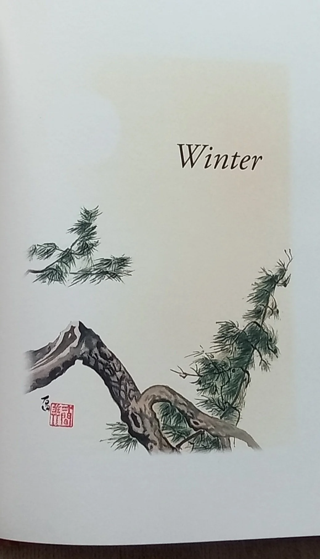 1000119917.jpg
