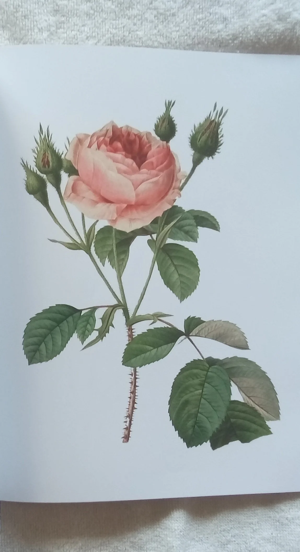 1000120636.jpg