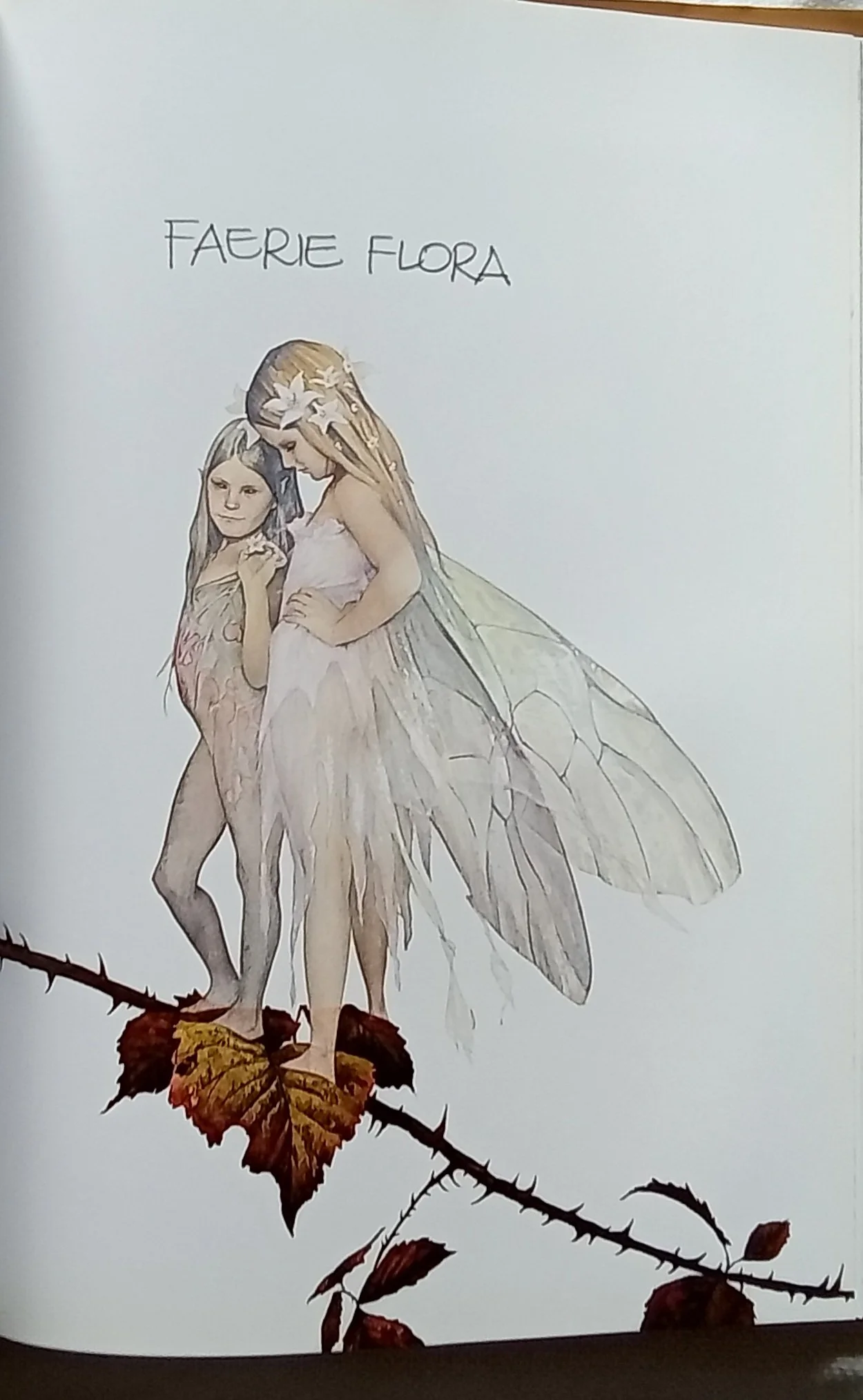 1000101980.jpg