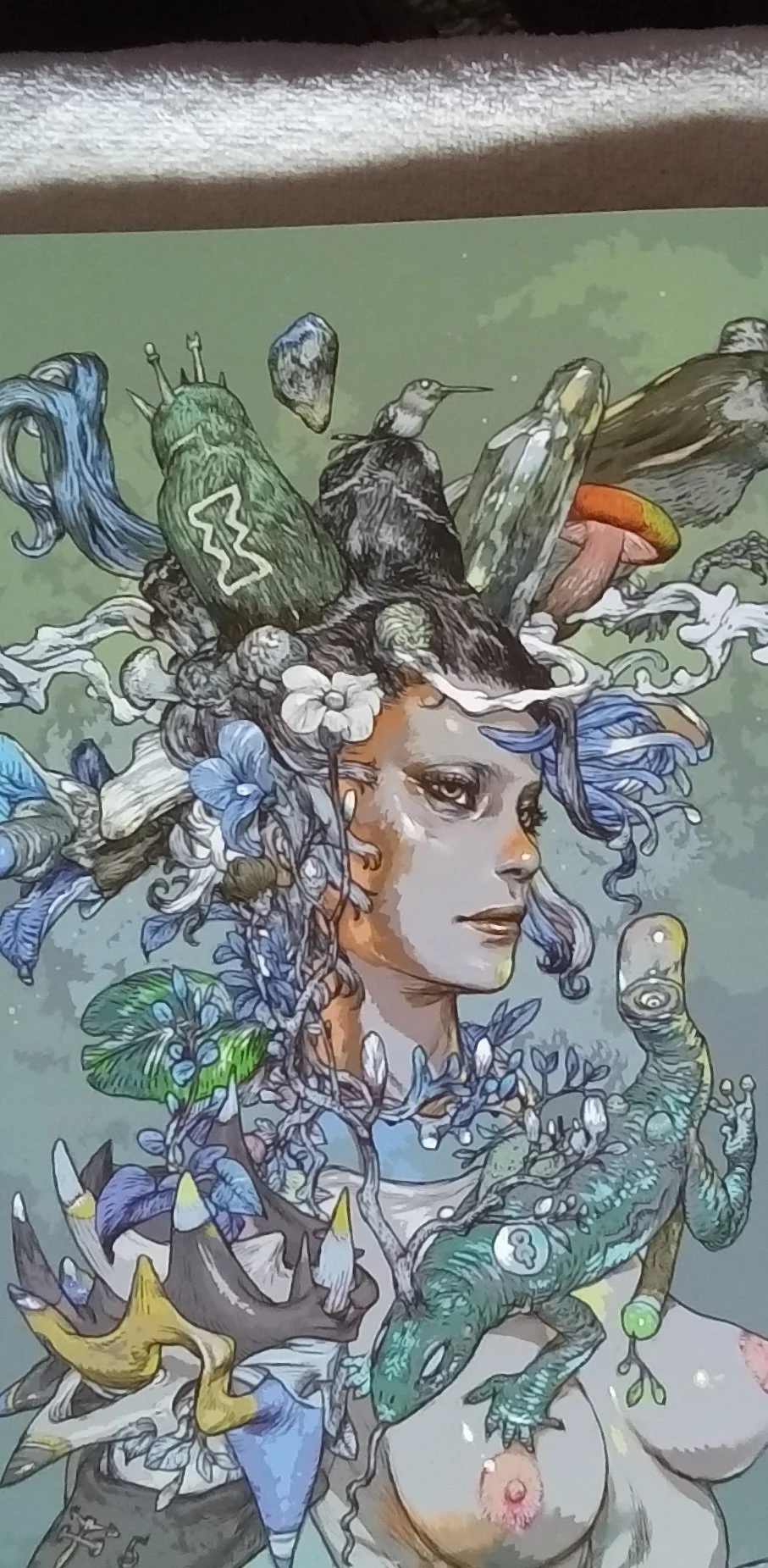 1000119462.jpg