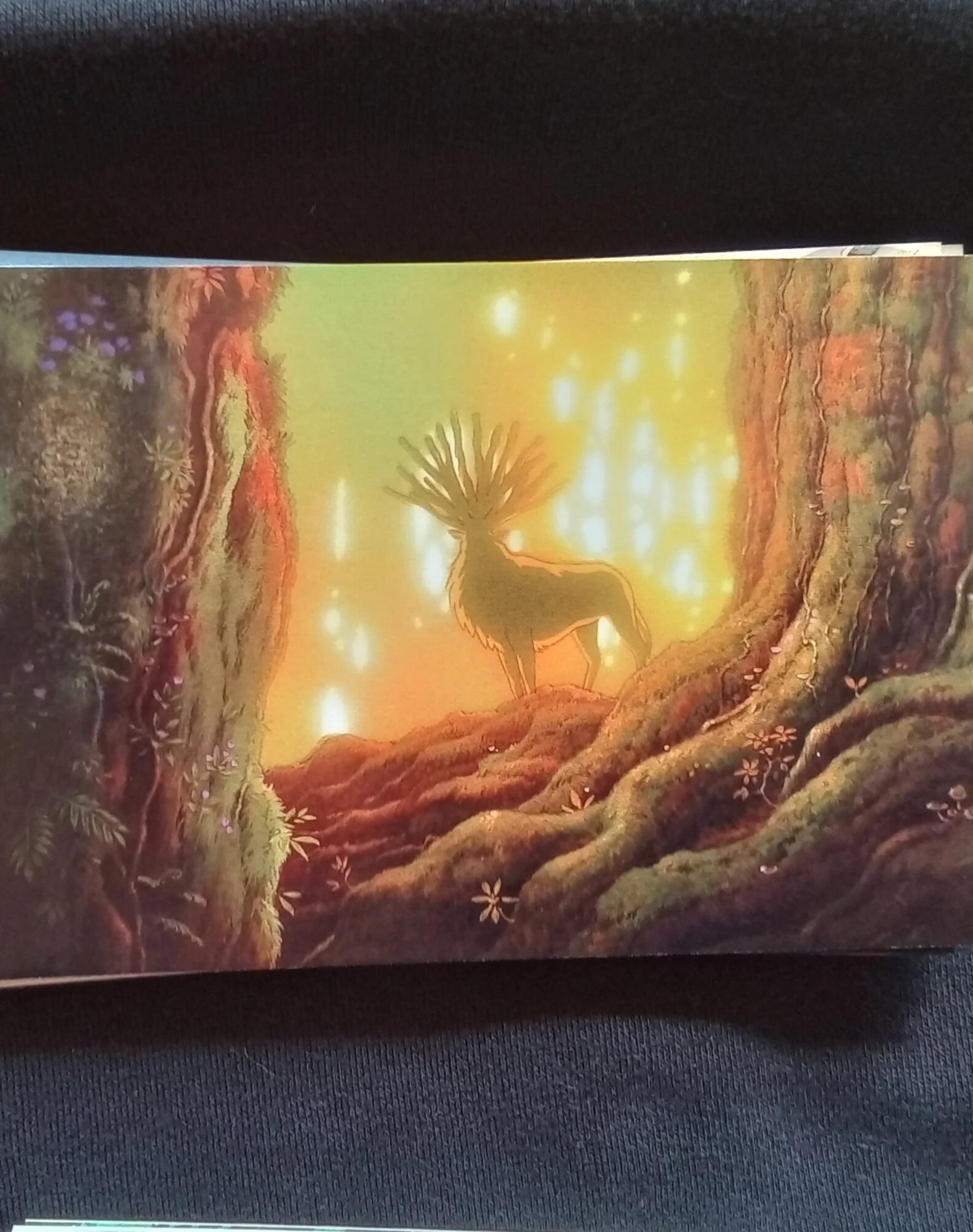 20261025_114806.jpg