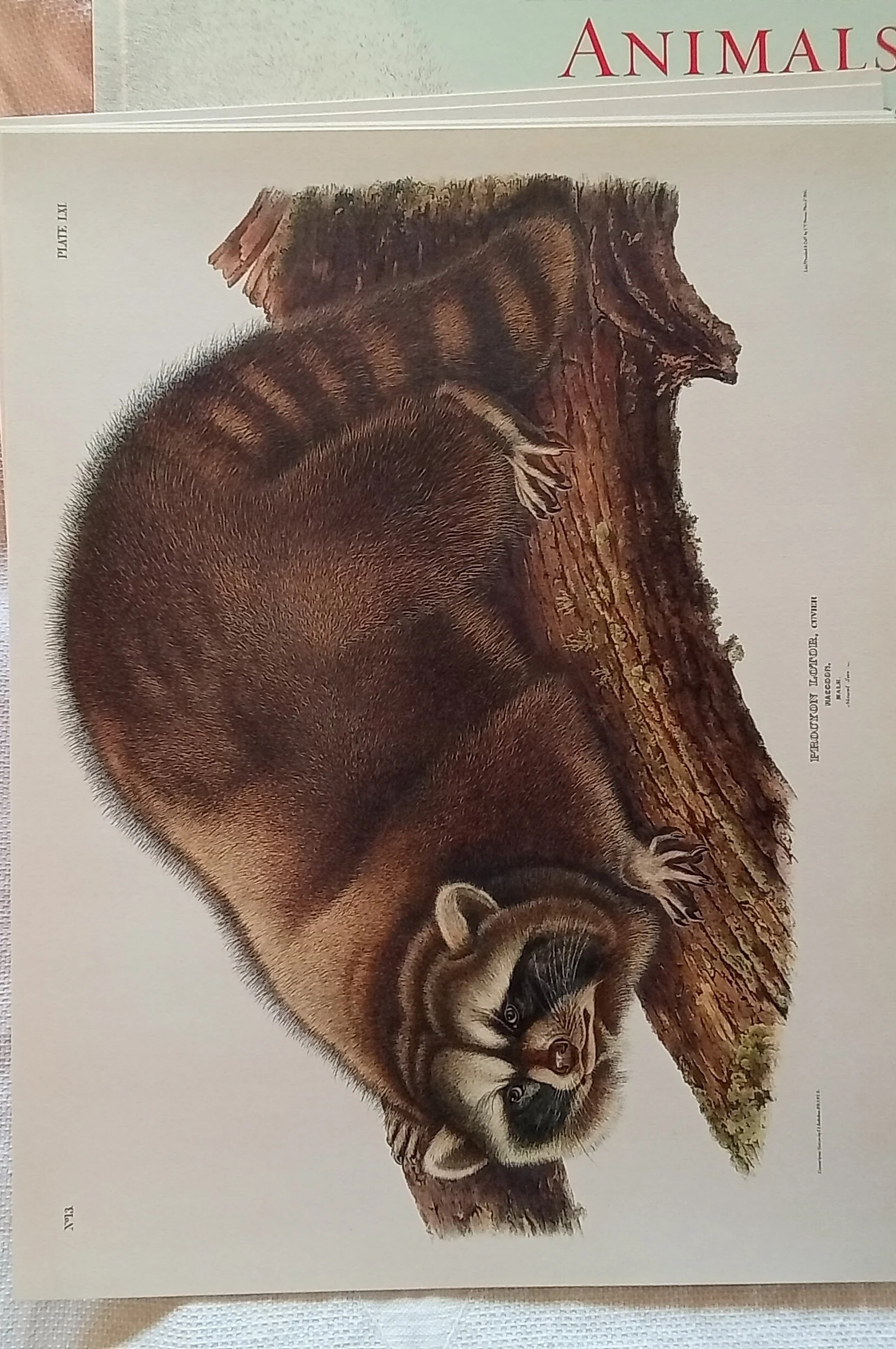 1000105168.jpg