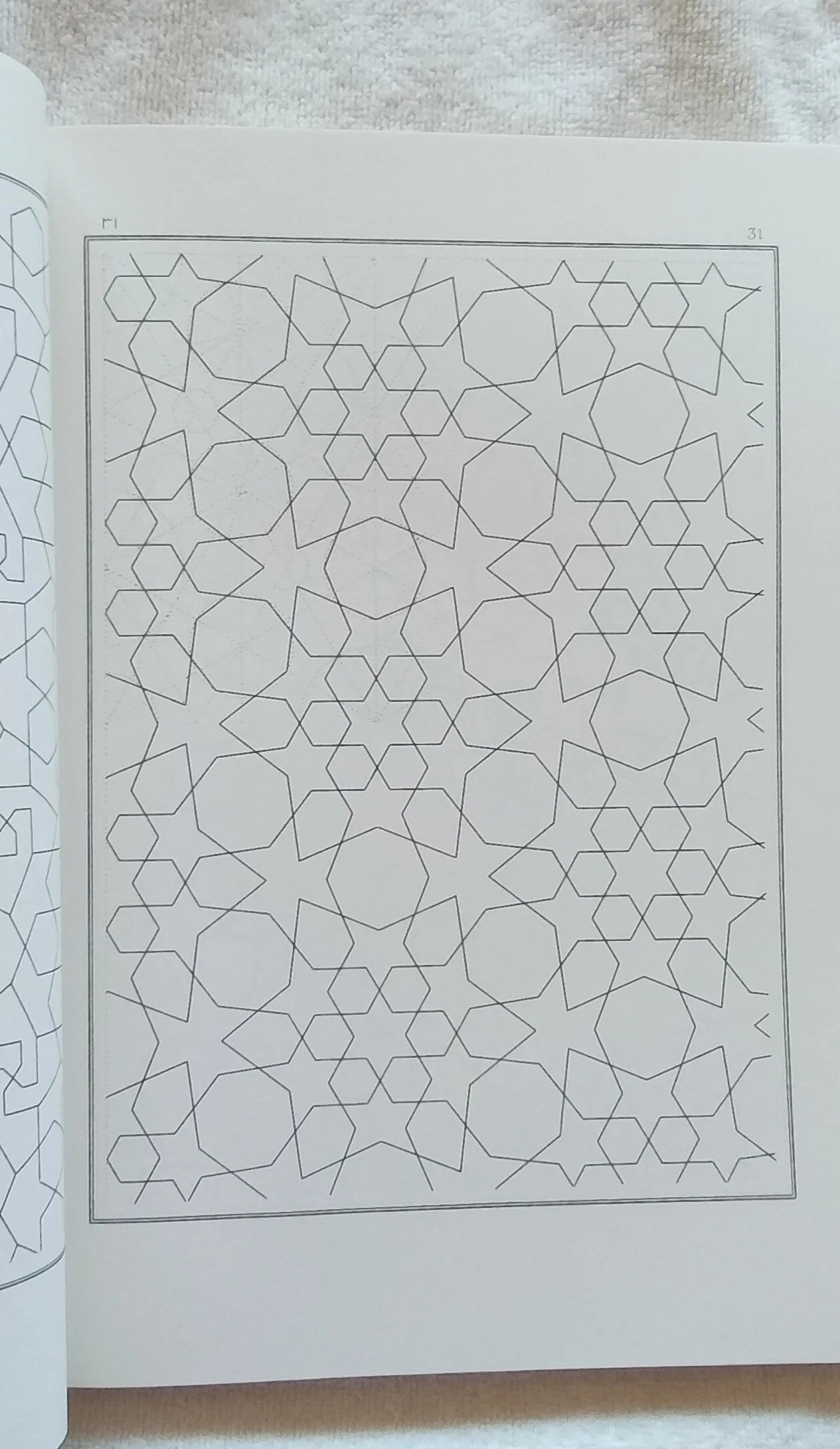 1000124703.jpg