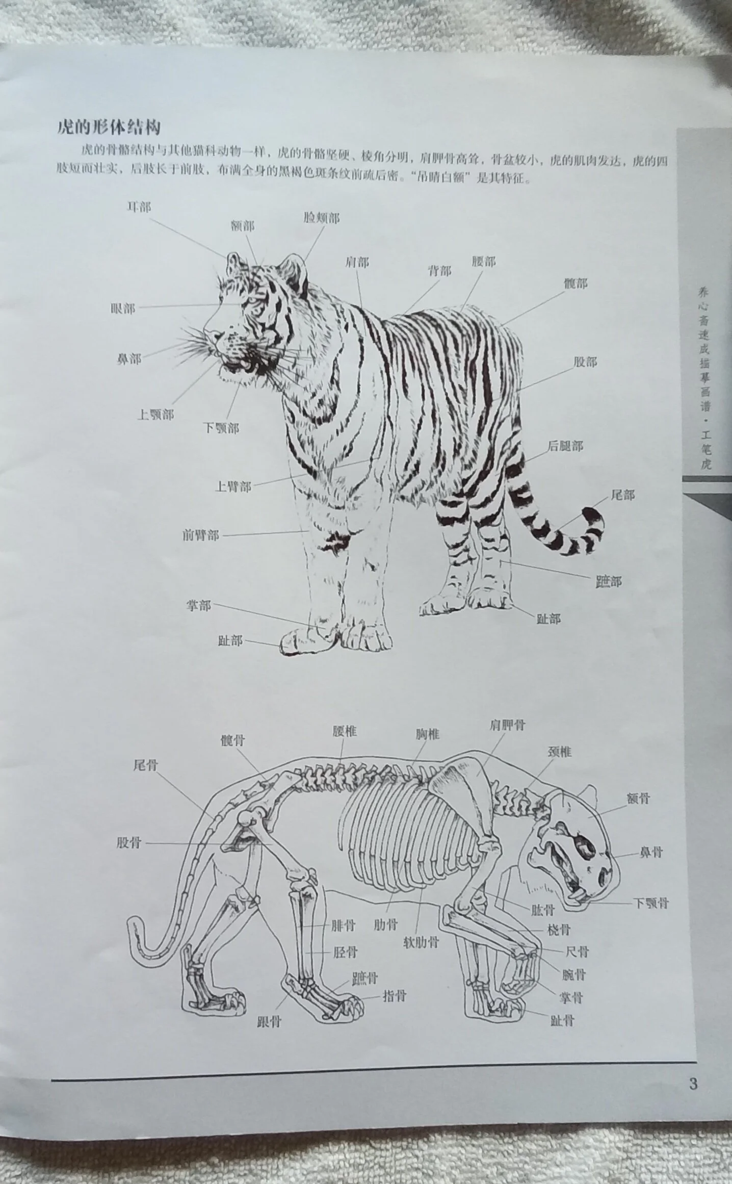 1000092843.jpg
