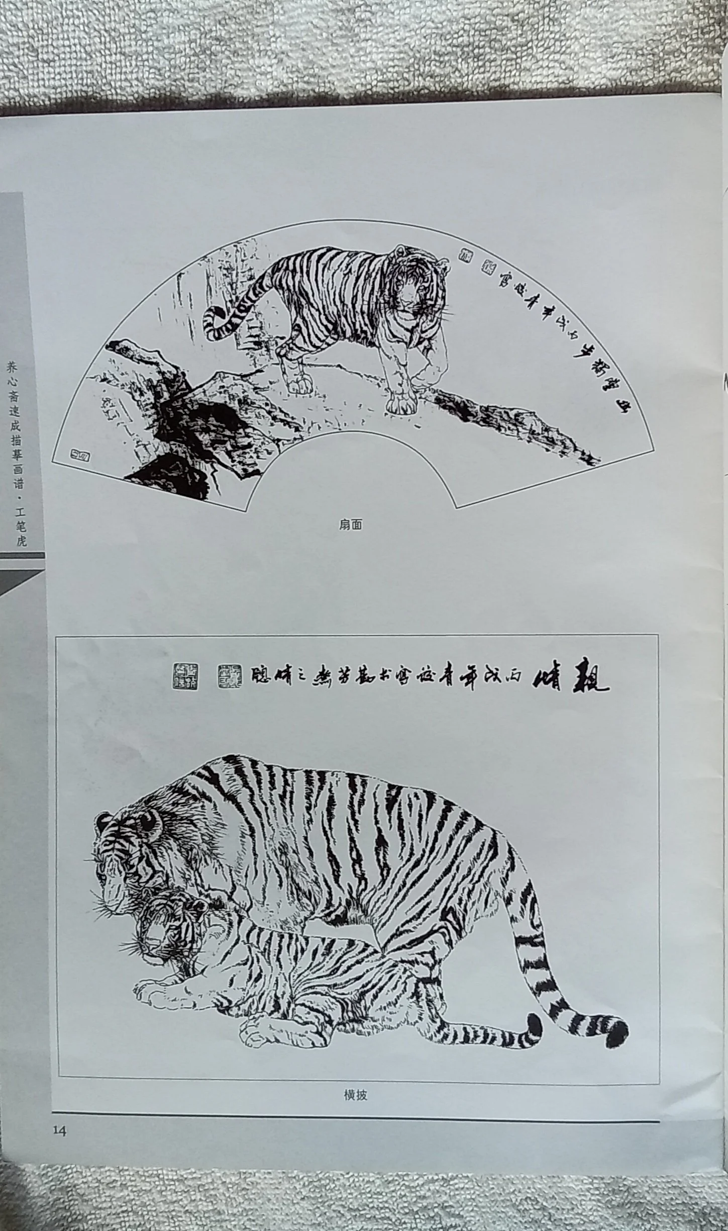 1000092850.jpg