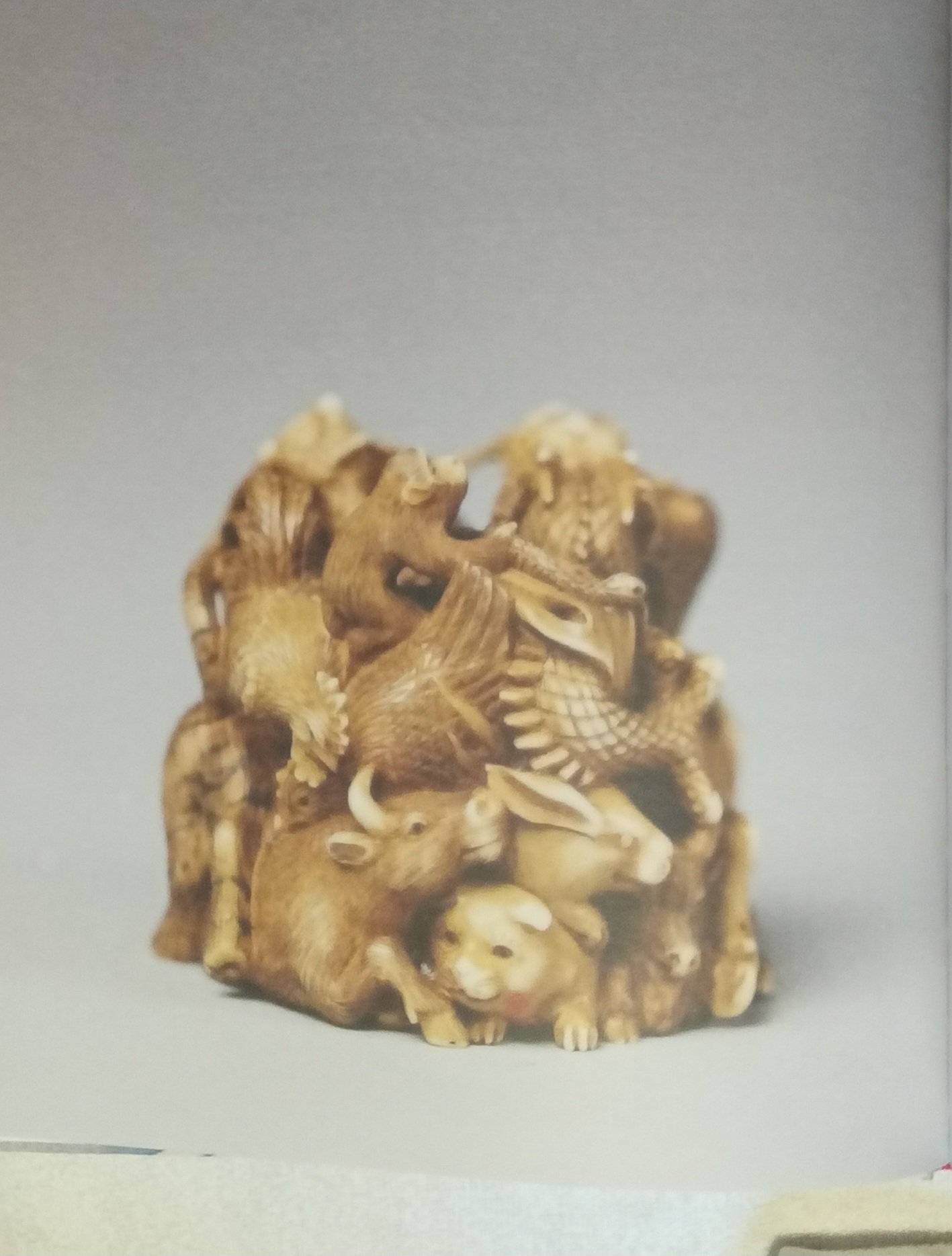 1000086819.jpg