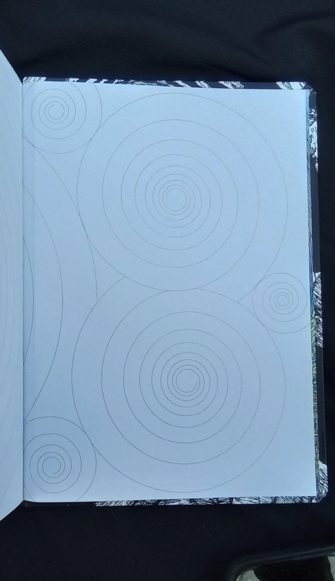 1000126839.jpg