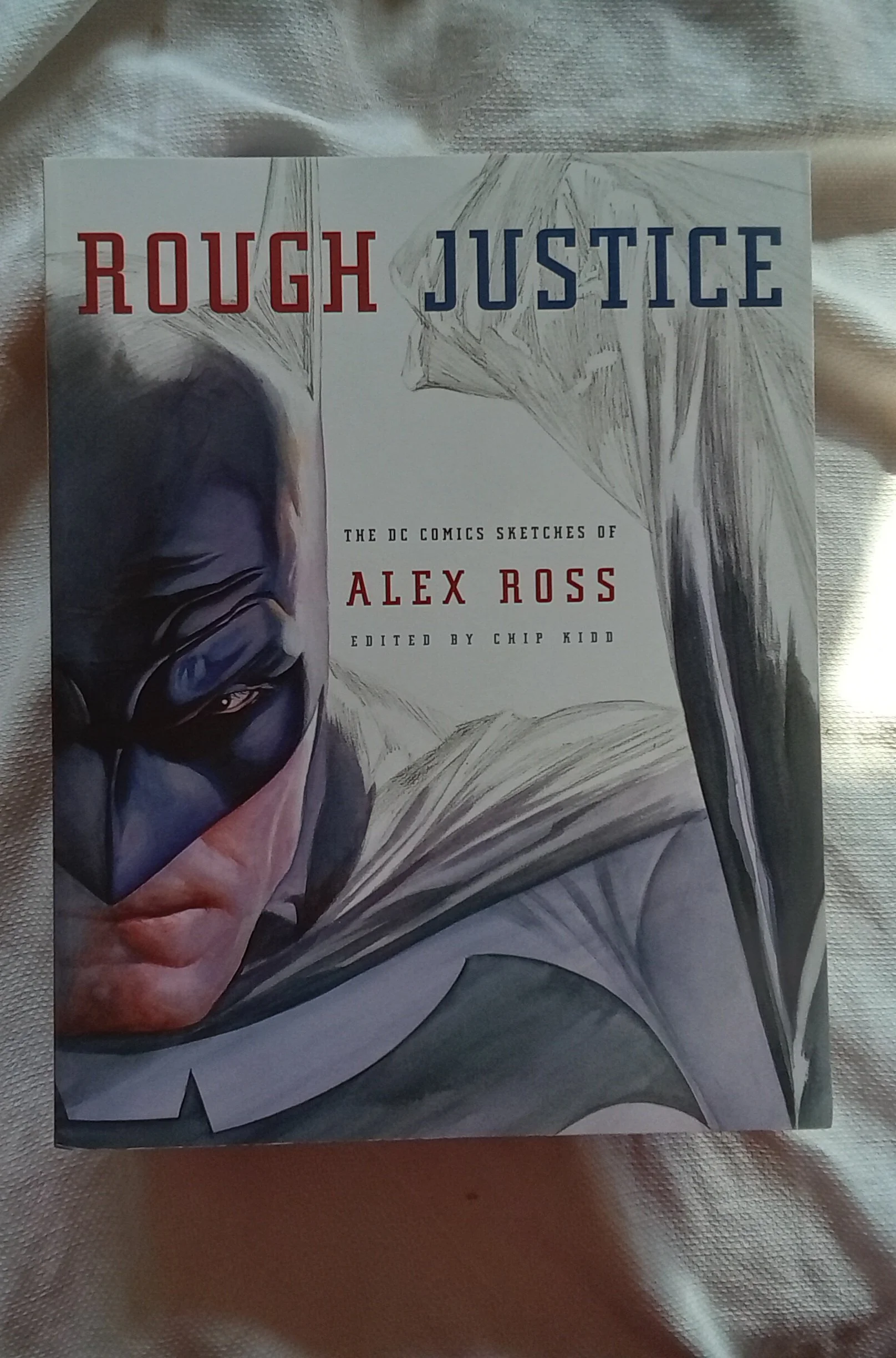 Rough Justice: The DC Comics Sketches of Alex Ross (Pantheon Graphic Library) Paperbac