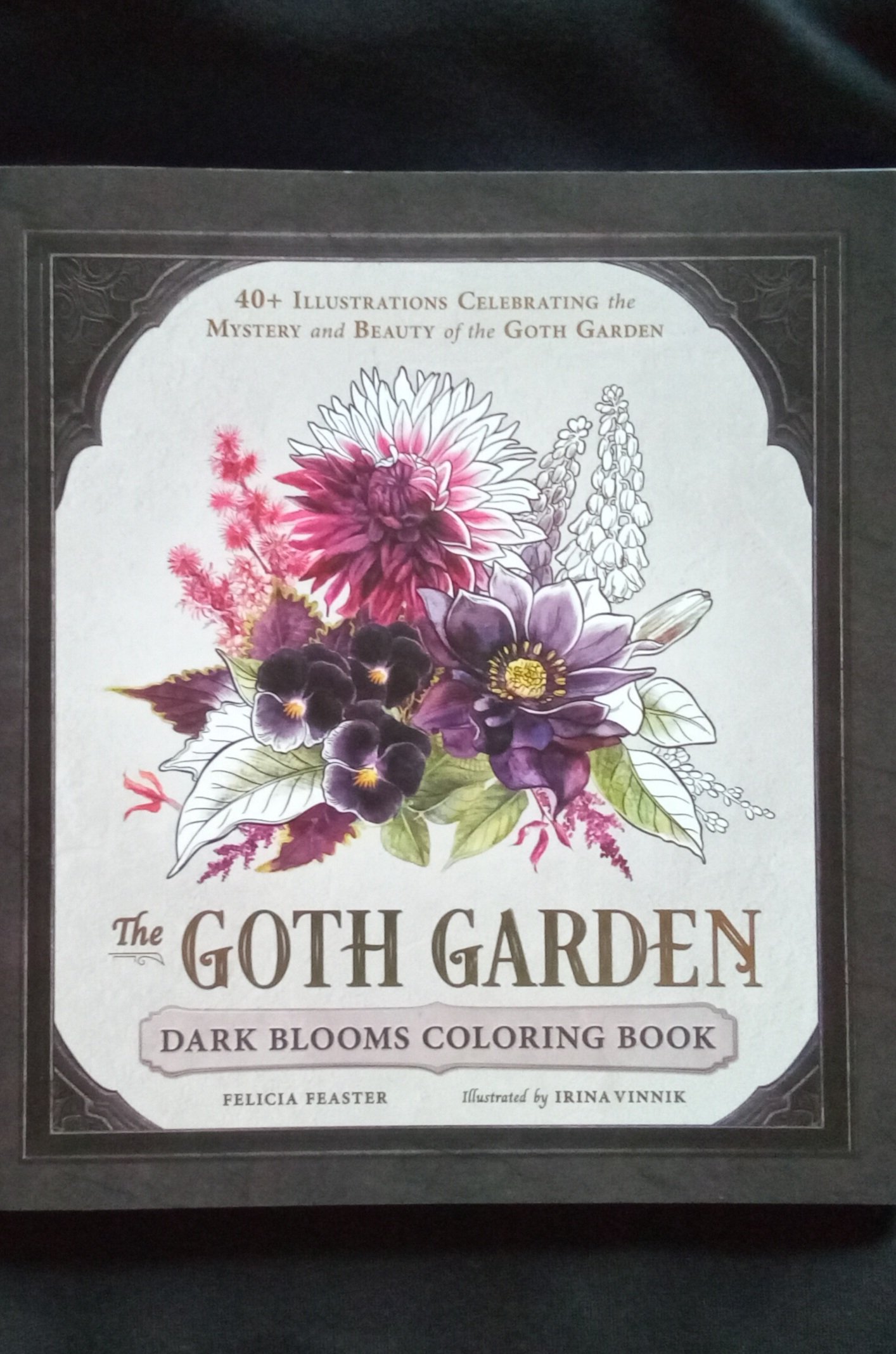The Goth Garden: Dark Blooms Coloring Book: 40+ Illustrations Celebrating the Mystery and Beauty of the Goth Garden by Felicia Feaster (Author), Irina Vinnik (Illustrator