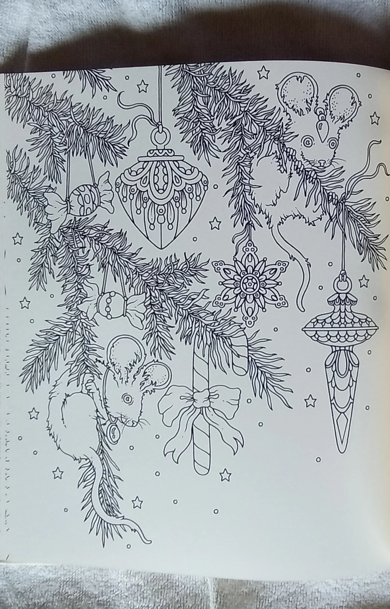 1000123085.jpg