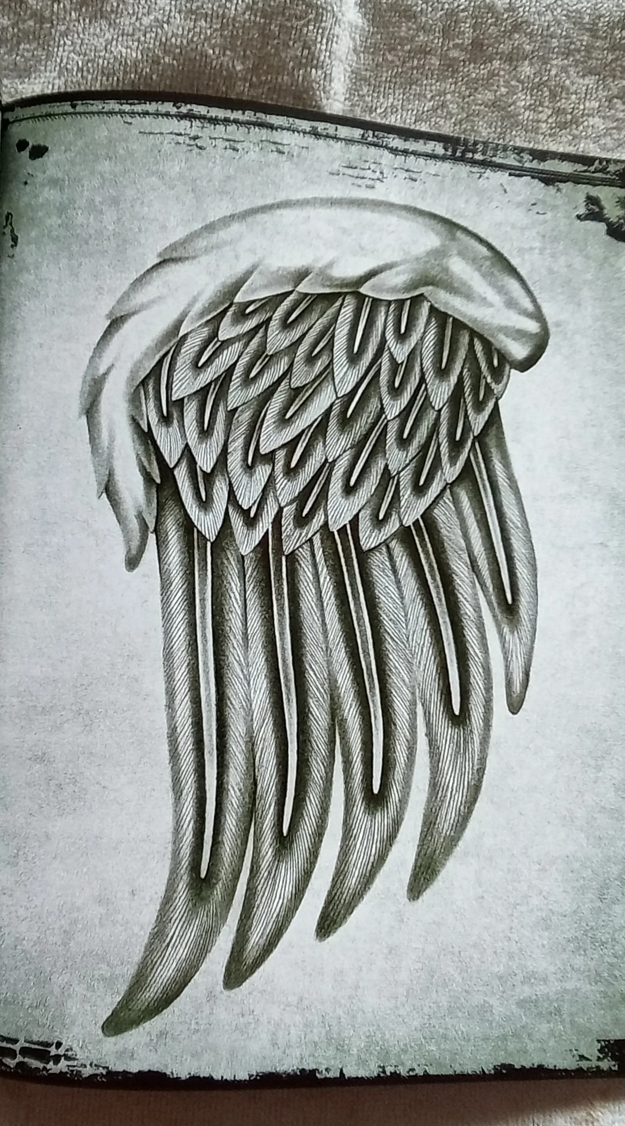 1000119279.jpg