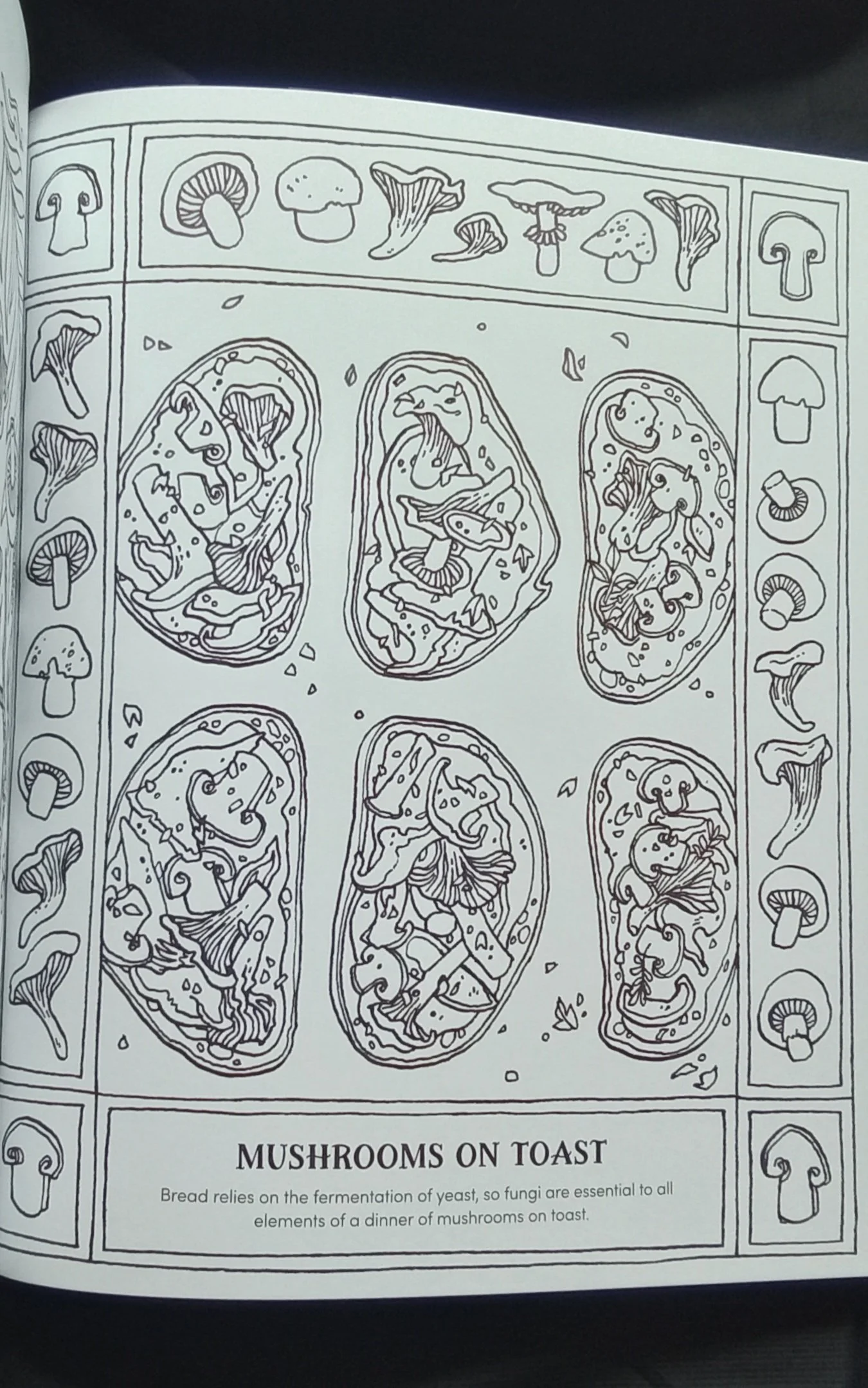 1000126030.jpg