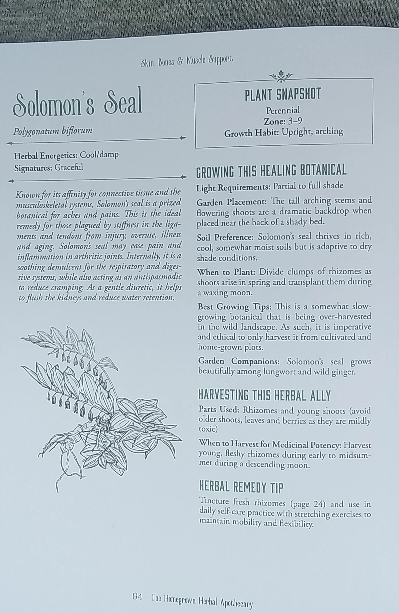 1000127411.jpg
