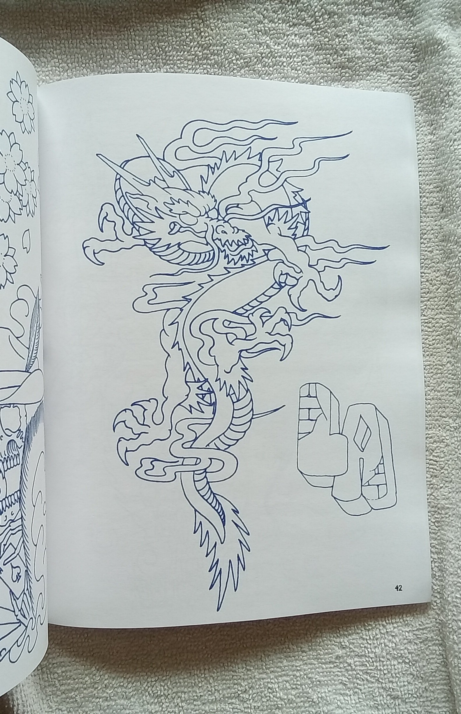 1000091209.jpg