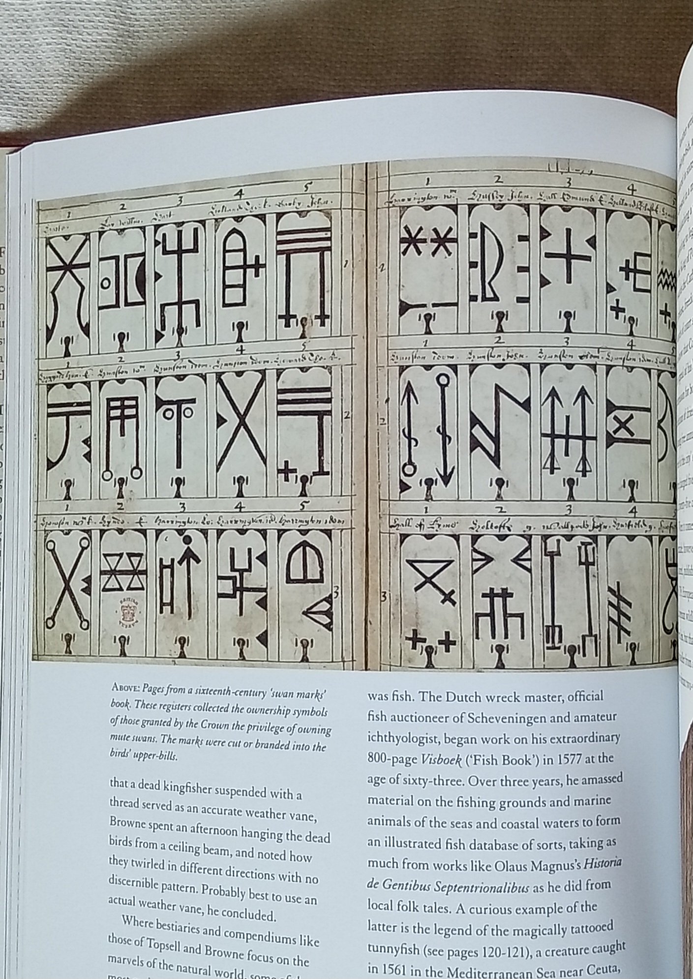 1000104289.jpg