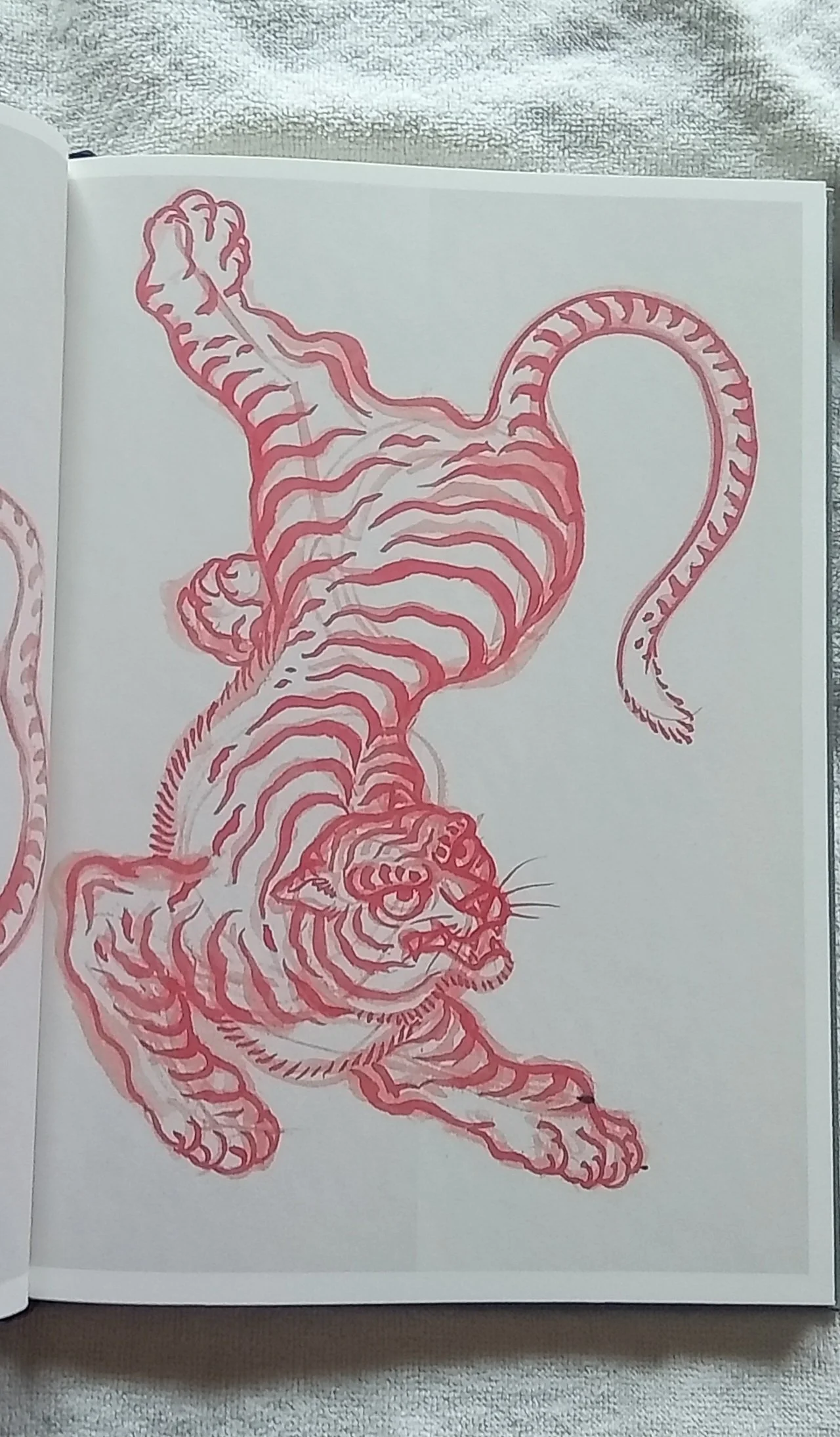1000121065.jpg