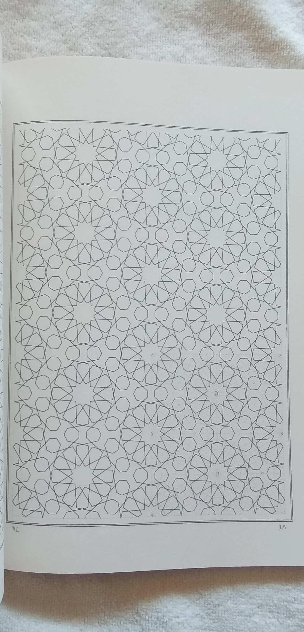 1000124712.jpg