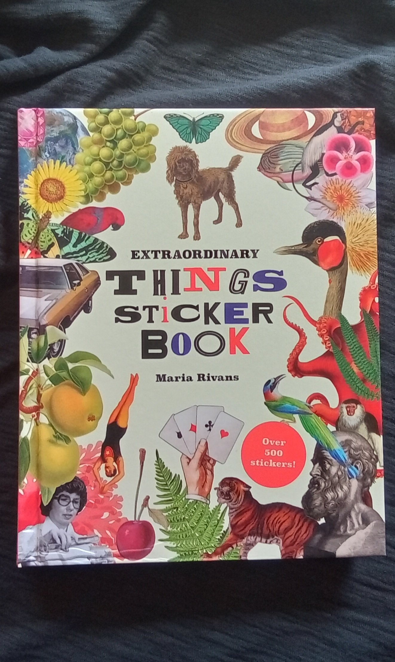 Extraordinary Things Sticker Book by Maria Rivans (Illustrator
