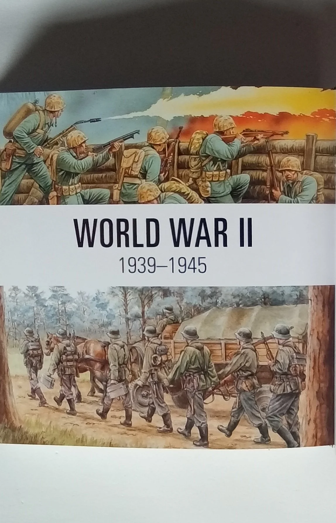 1000121027.jpg