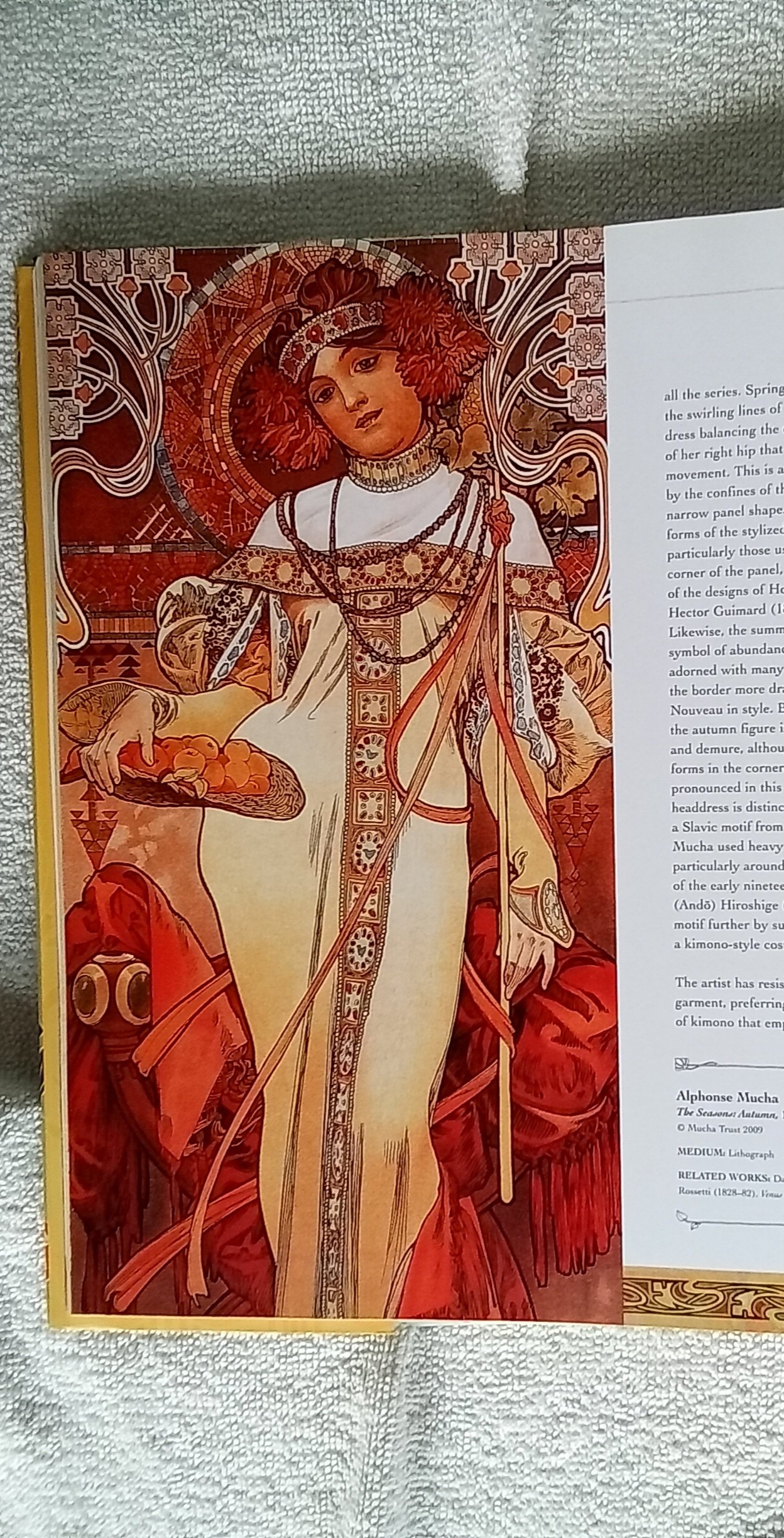 1000092087.jpg