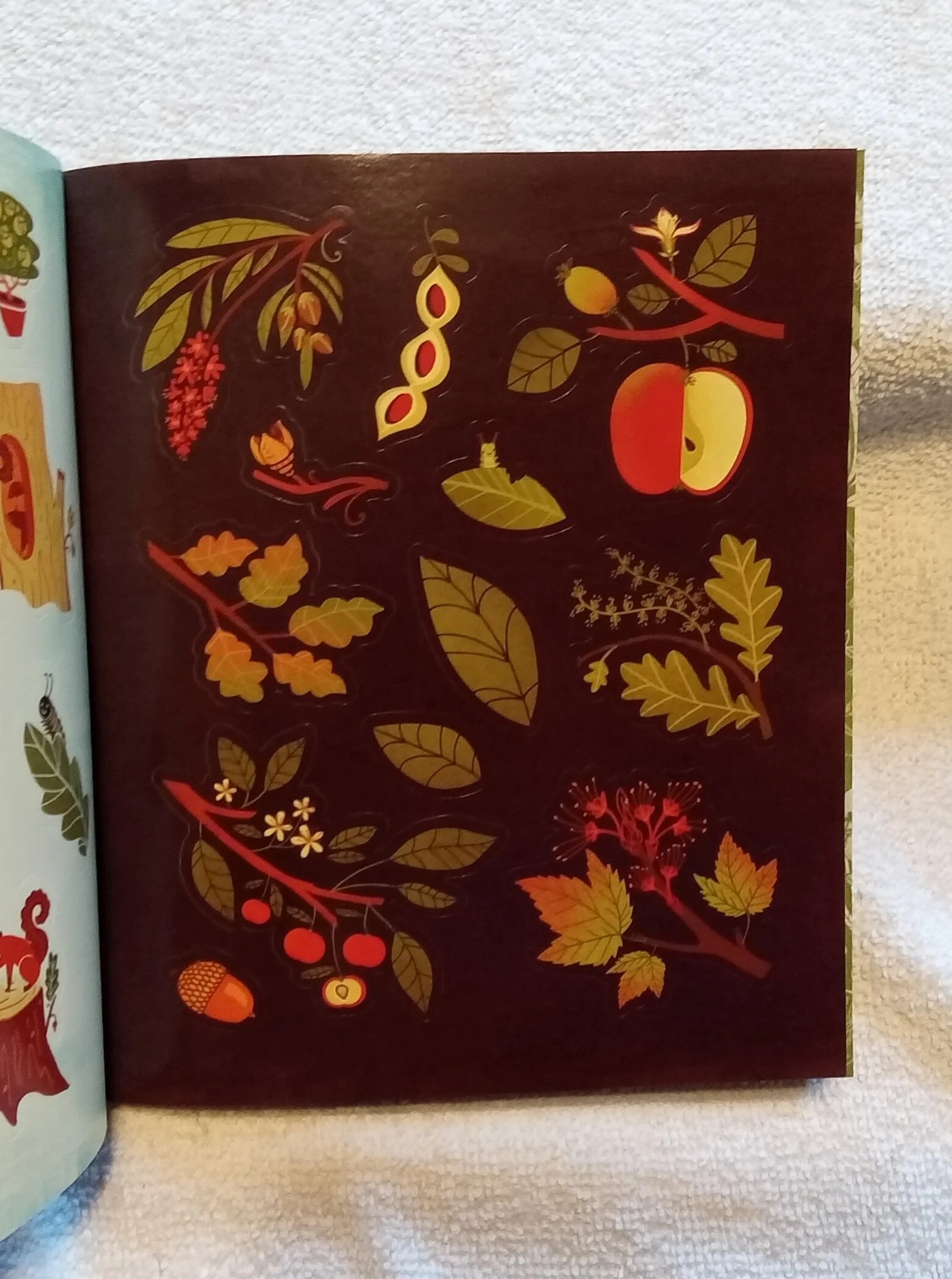 1000095112.jpg