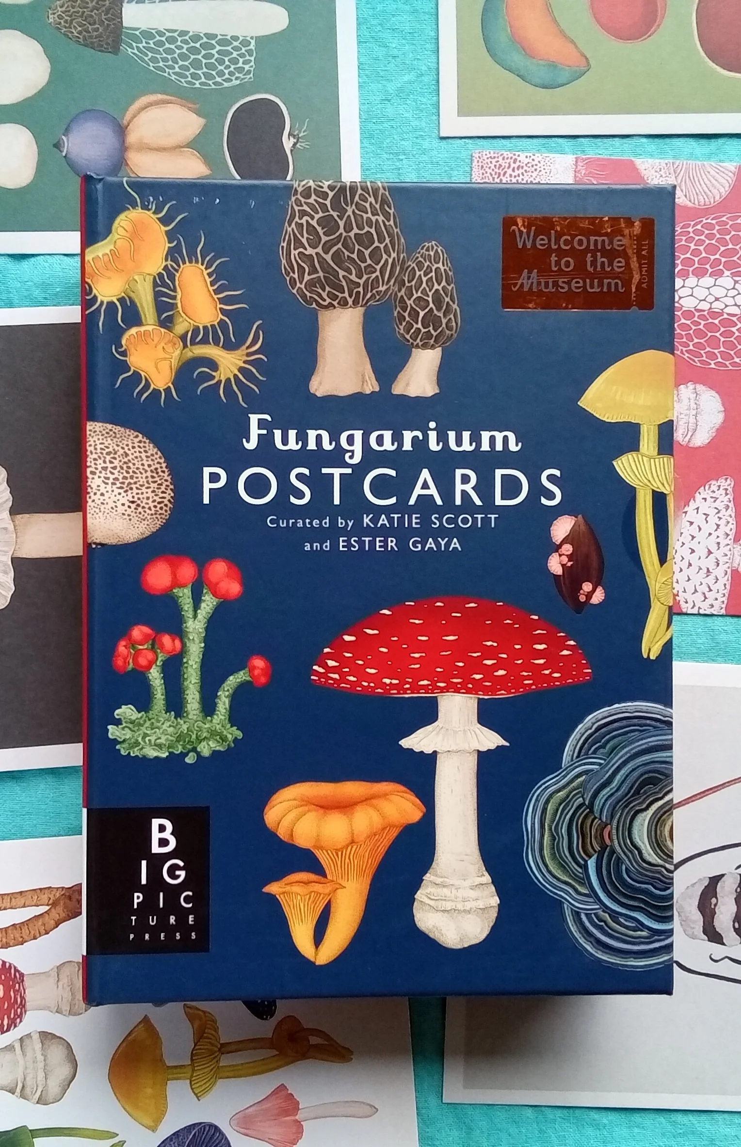 Fungarium Postcard Box Set (Welcome to the Museum) by Ester Gaya (Author), Katie Scott (Illustrator)