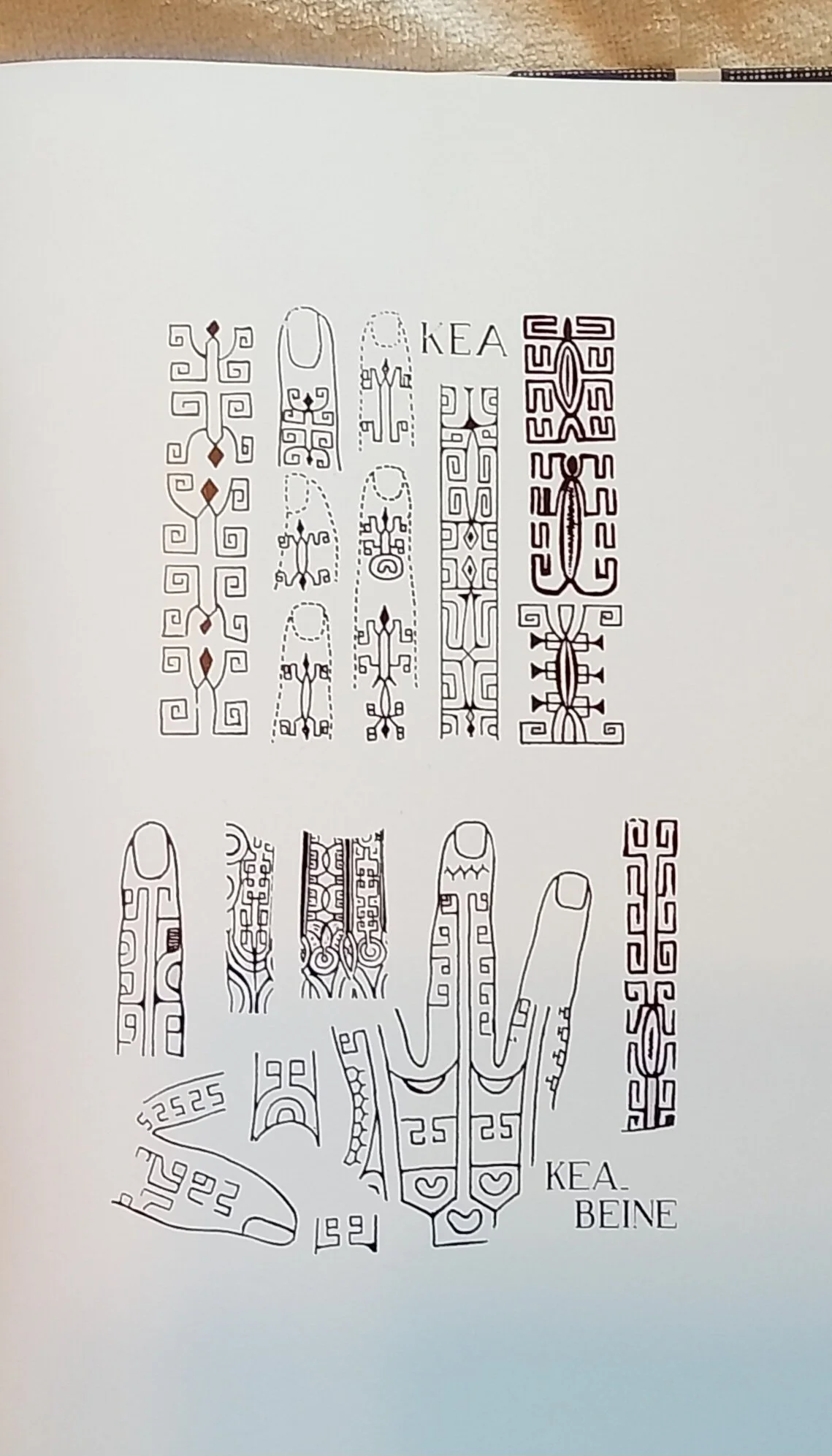 1000124391.jpg