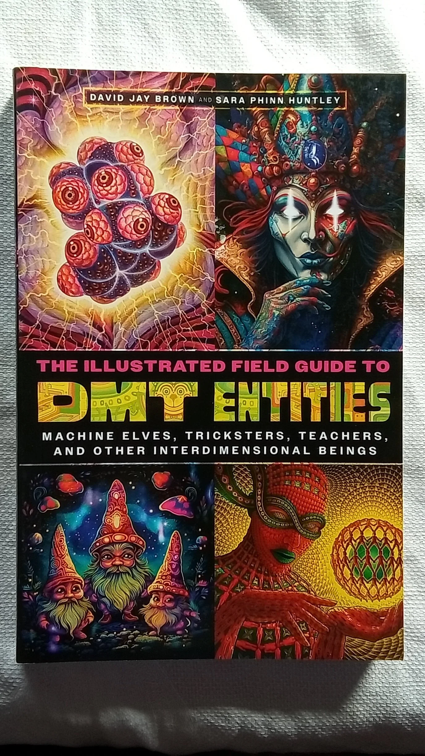 The Illustrated Field Guide to DMT Entities.